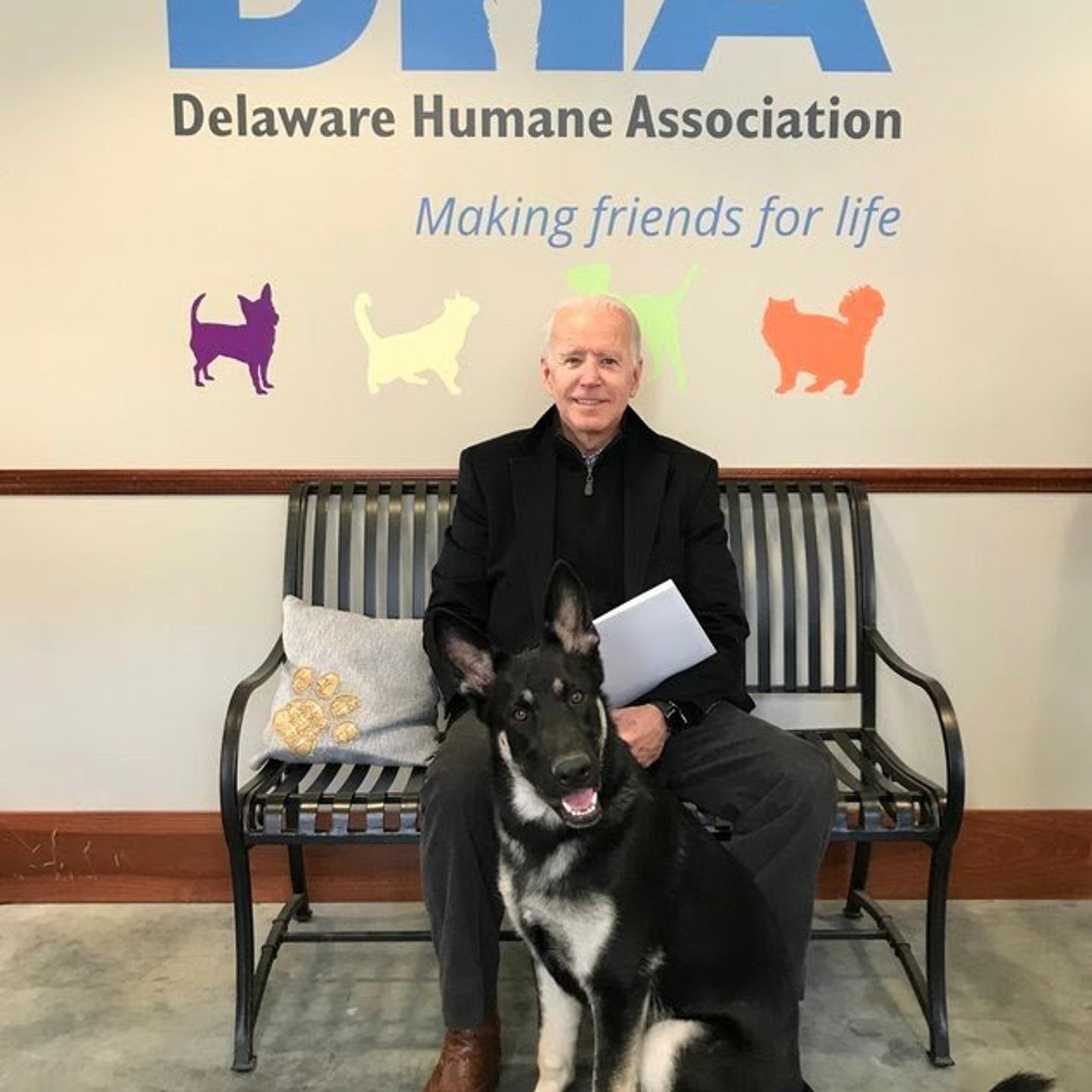Joe Biden poses with his newly adopted dog, Major.
