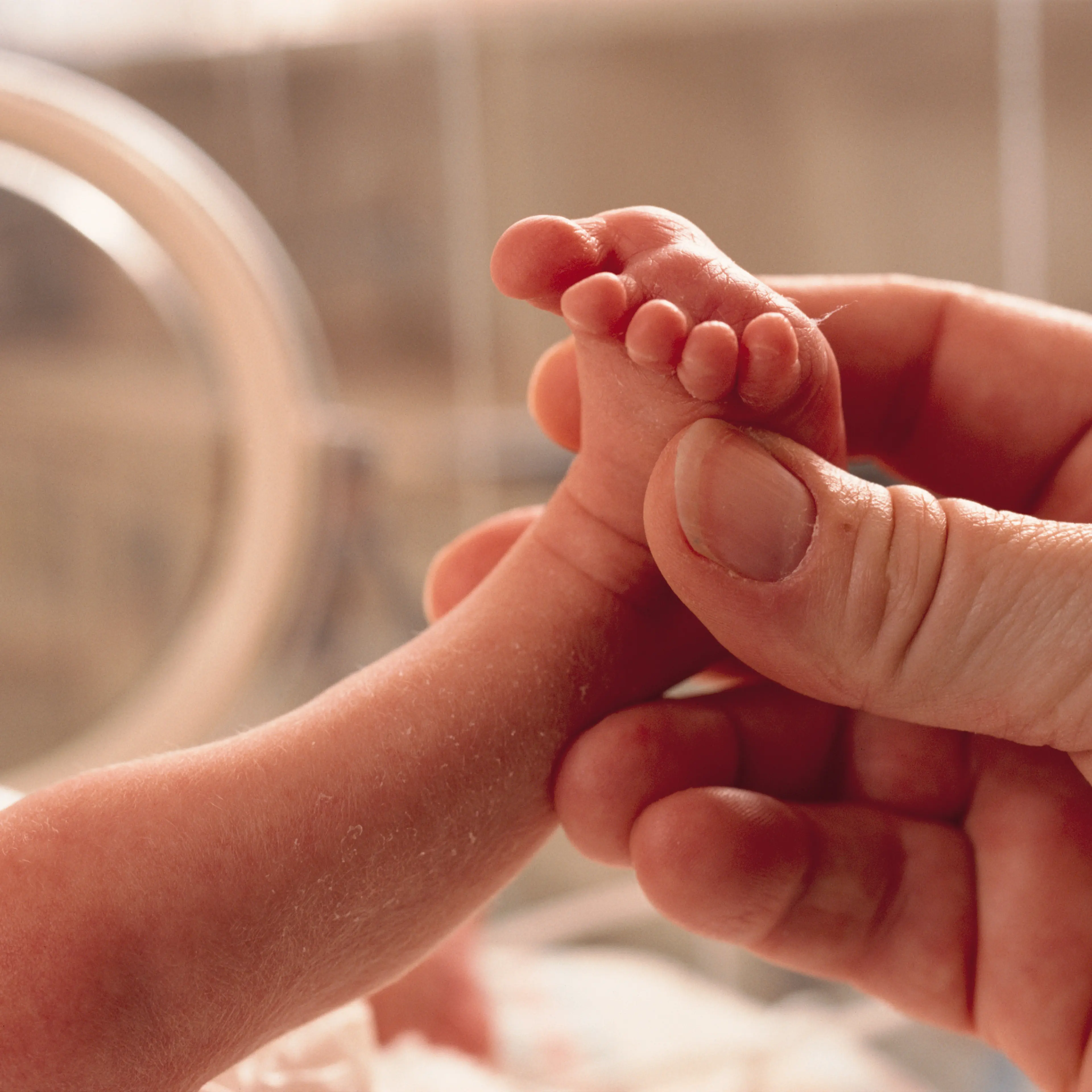small premature baby lies in an incubator a grown hand reaches in grasping the foot in caring manner
