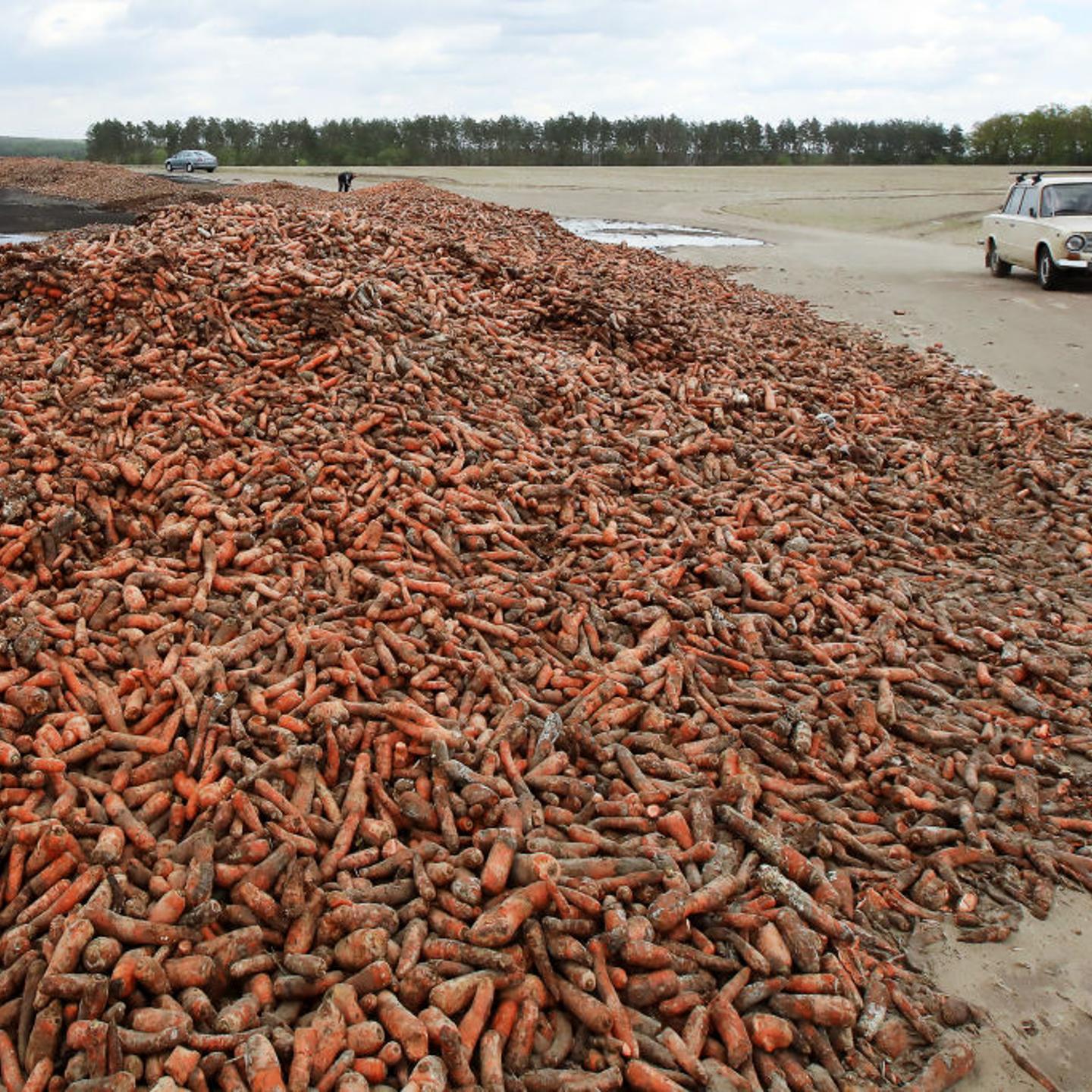 Tons of unsold carrot dumped outside Kiev, Ukraine