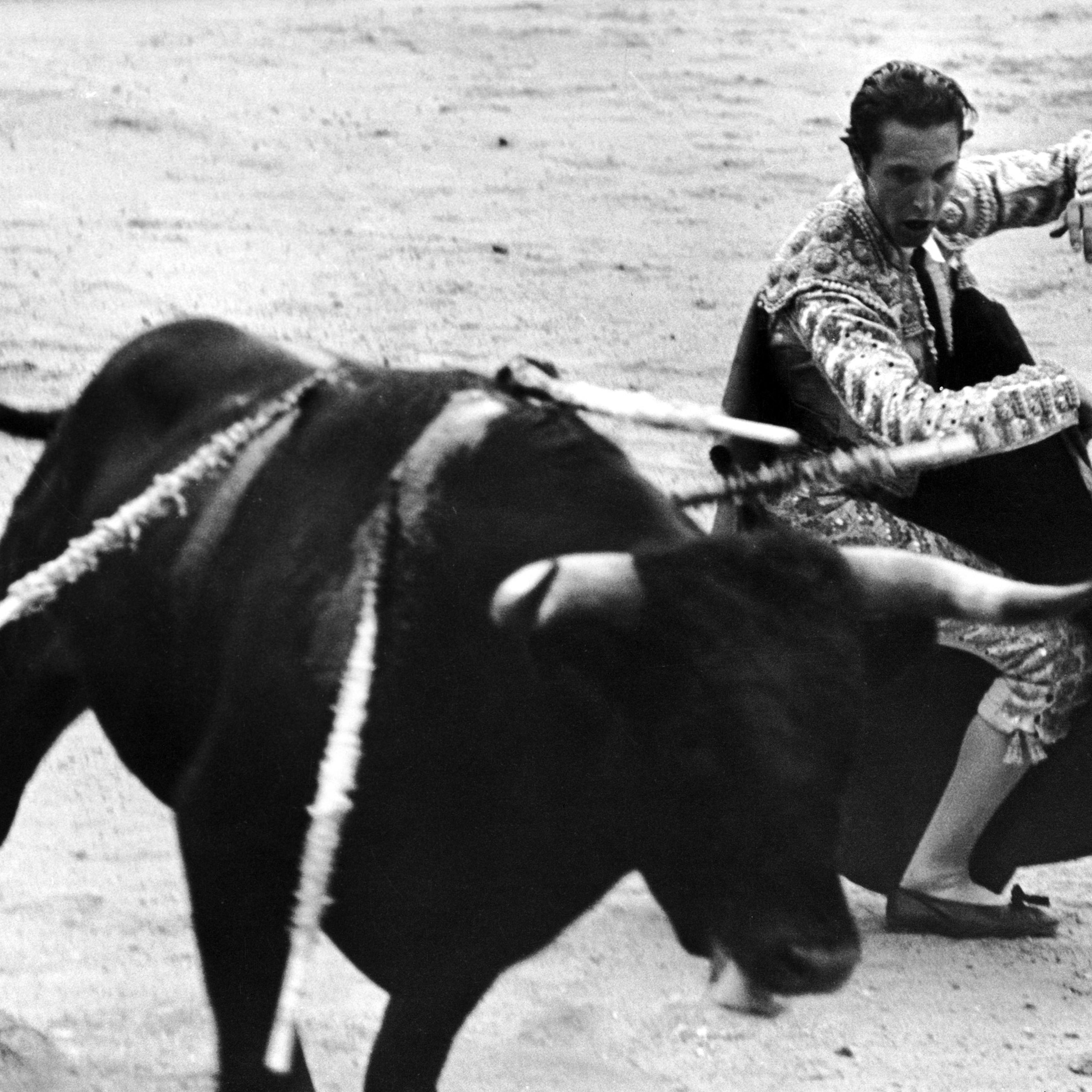 Matador Julian Marin and bull in the ring during a bullfight celebrating the Fiesta de San Fermín.