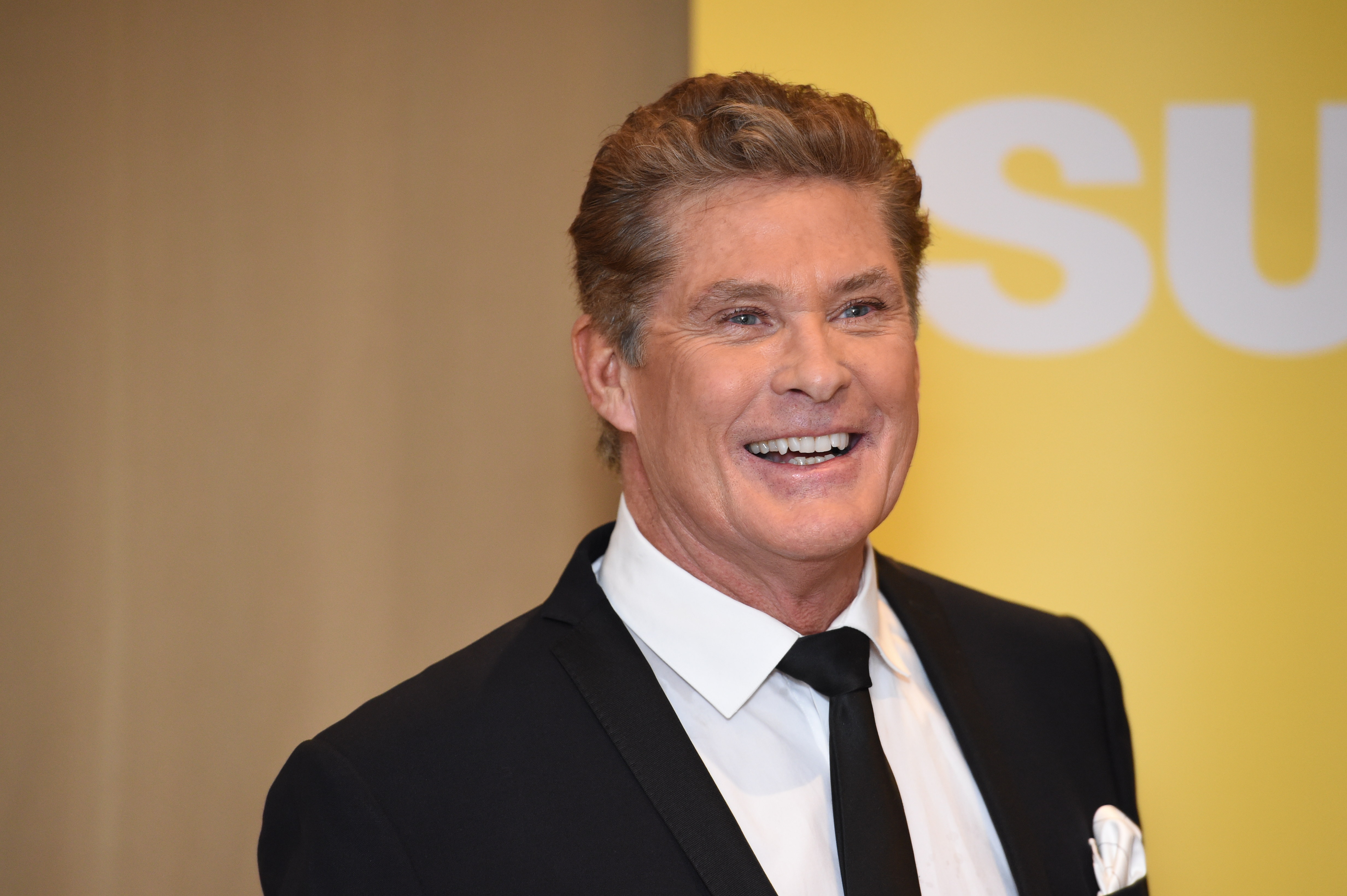 ENT 2015: David Hasselhoff Press Helsinki JAN 15