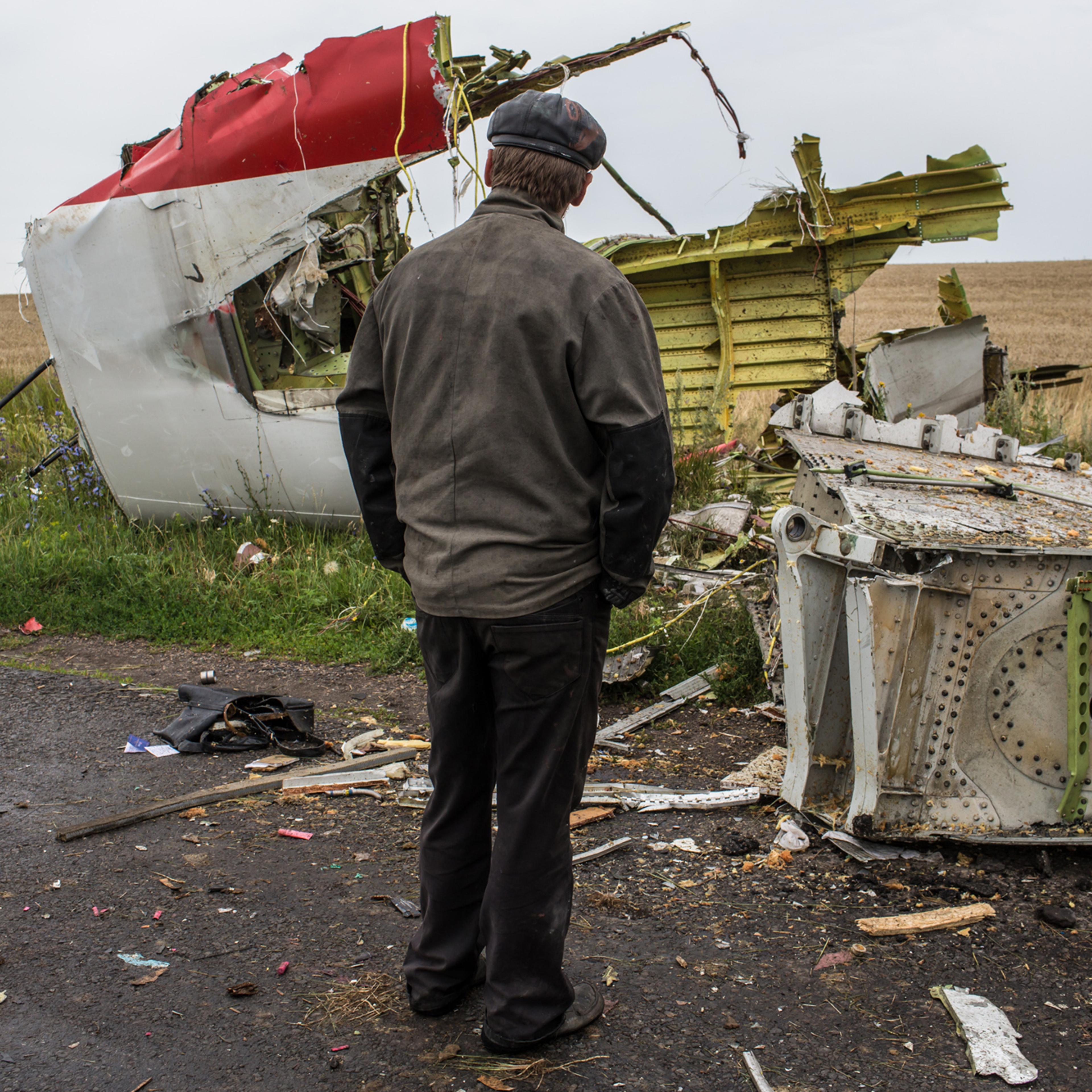 A man looks at the wreckage of passenger plane Malaysia Airlines flight MH17 on July 18, 2014 in Grabovka, Ukraine.