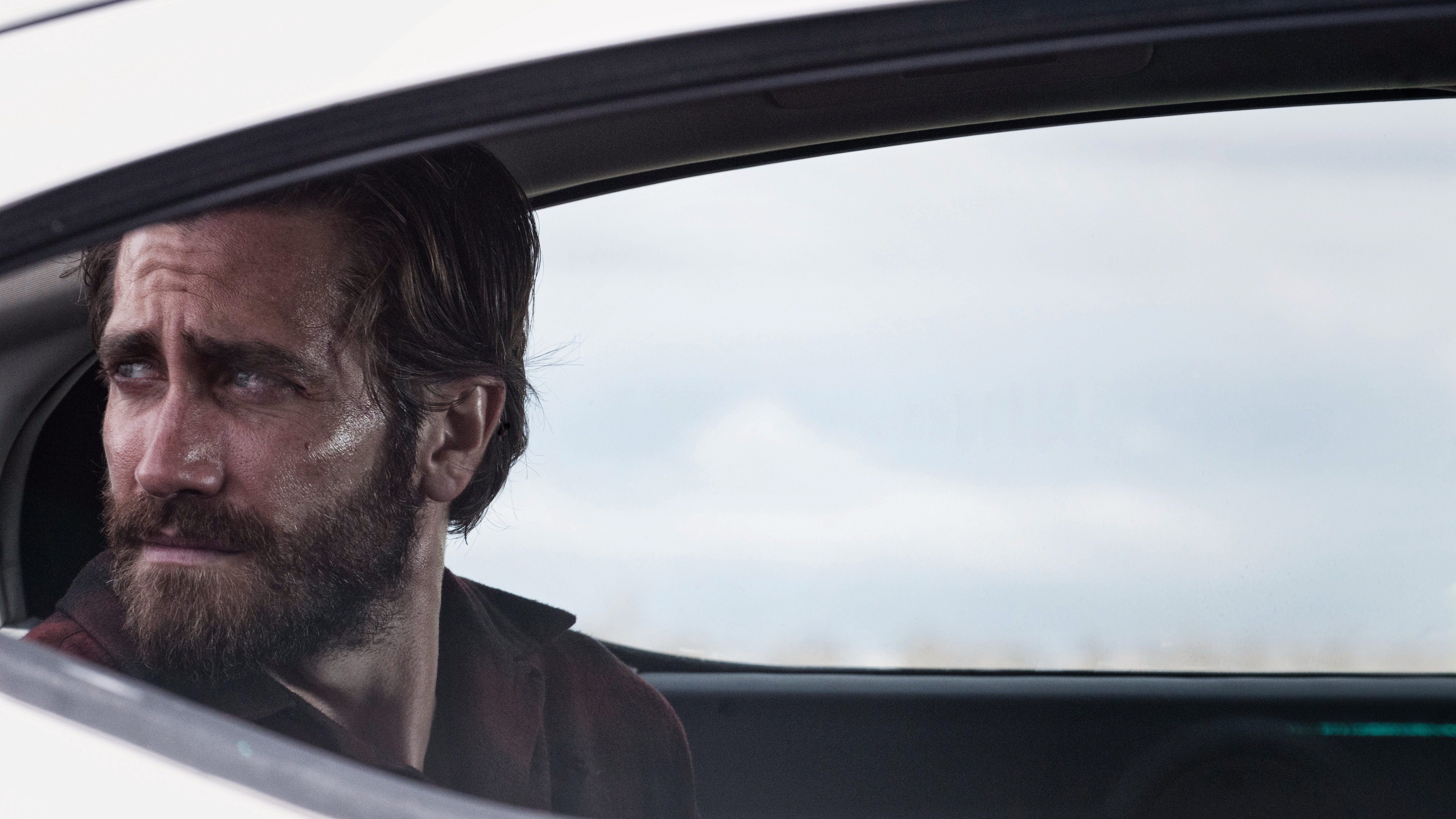 Nocturnal Animals