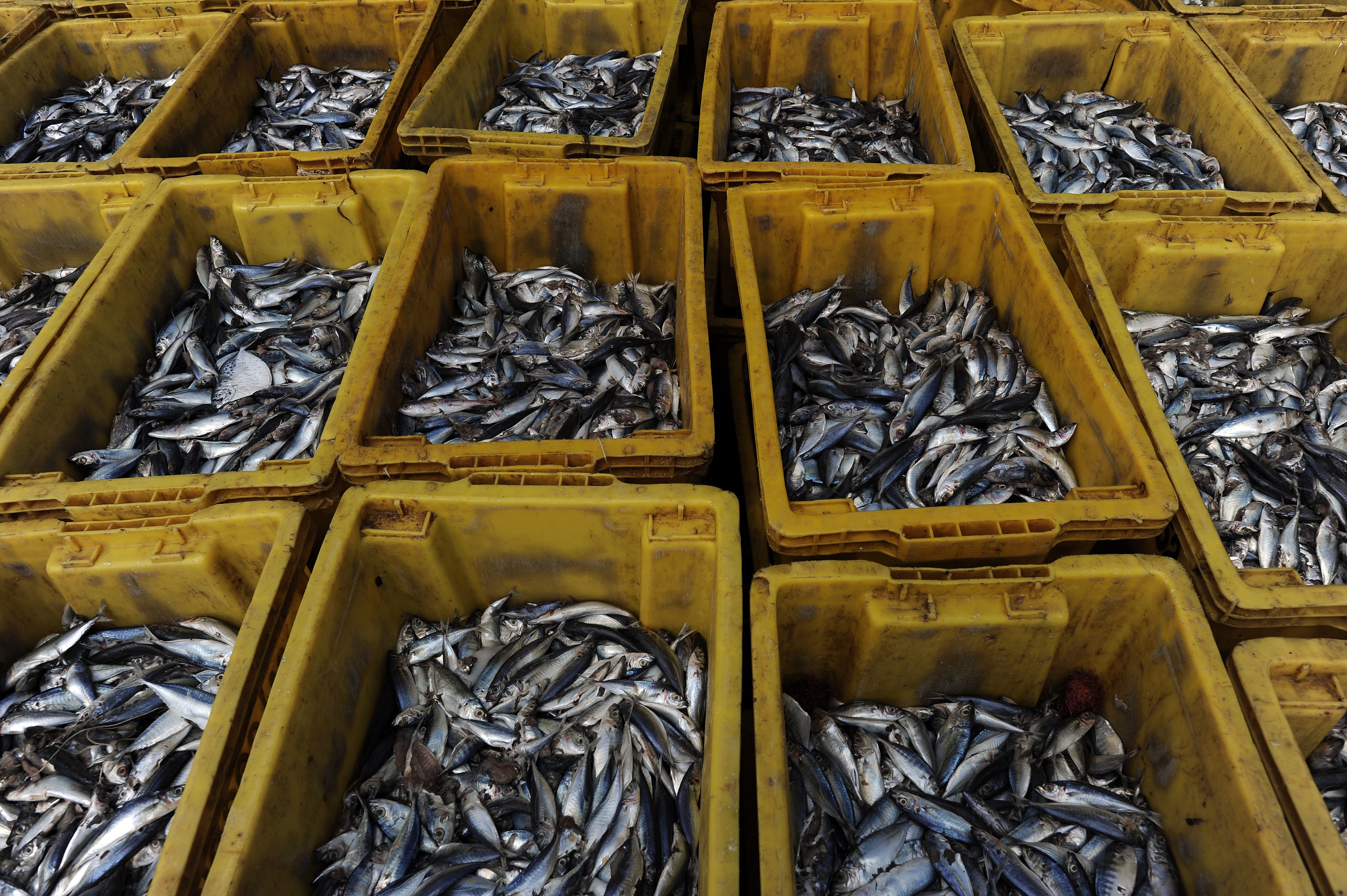 THAILAND-LABOUR-RIGHTS-MIGRATION-FISHING