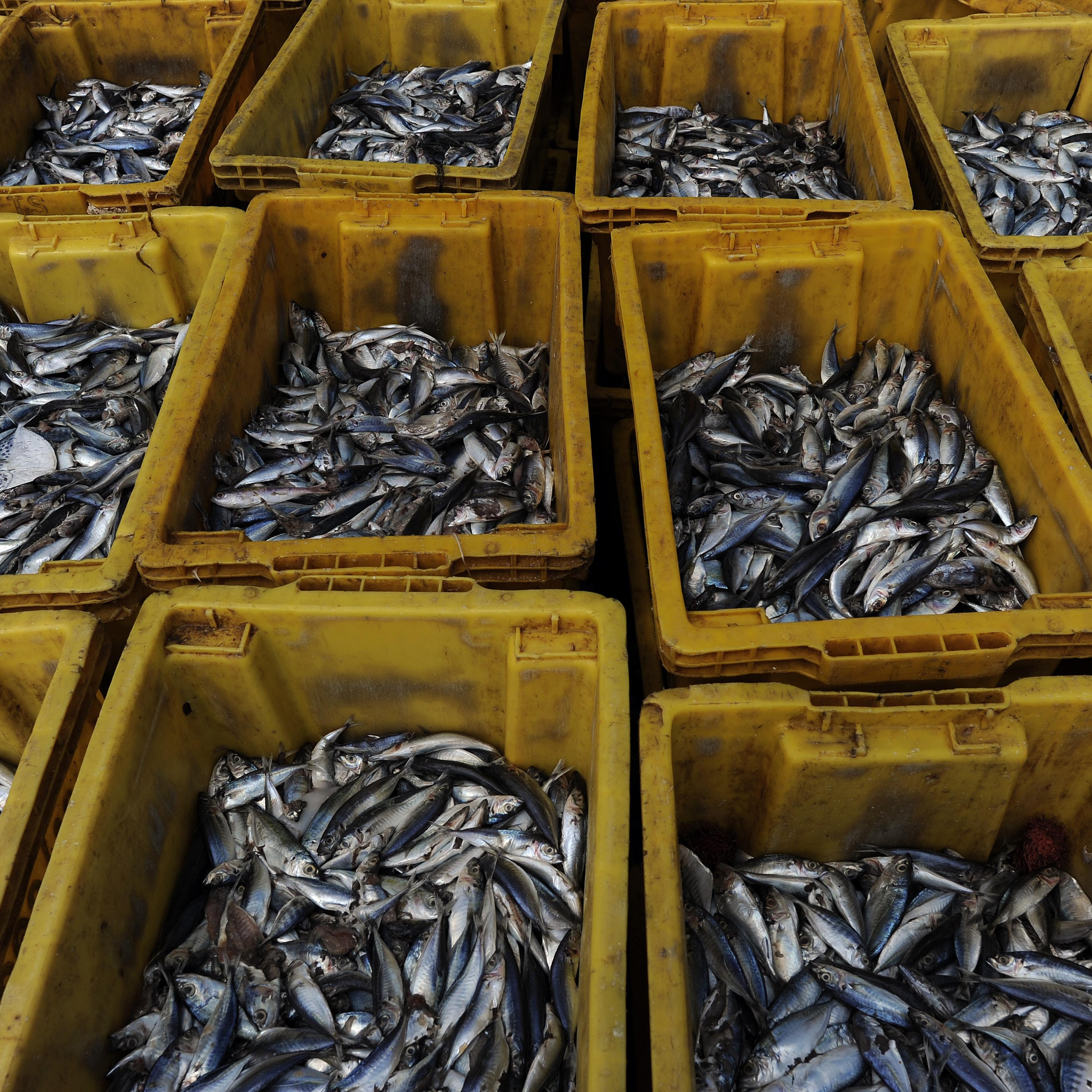 THAILAND-LABOUR-RIGHTS-MIGRATION-FISHING