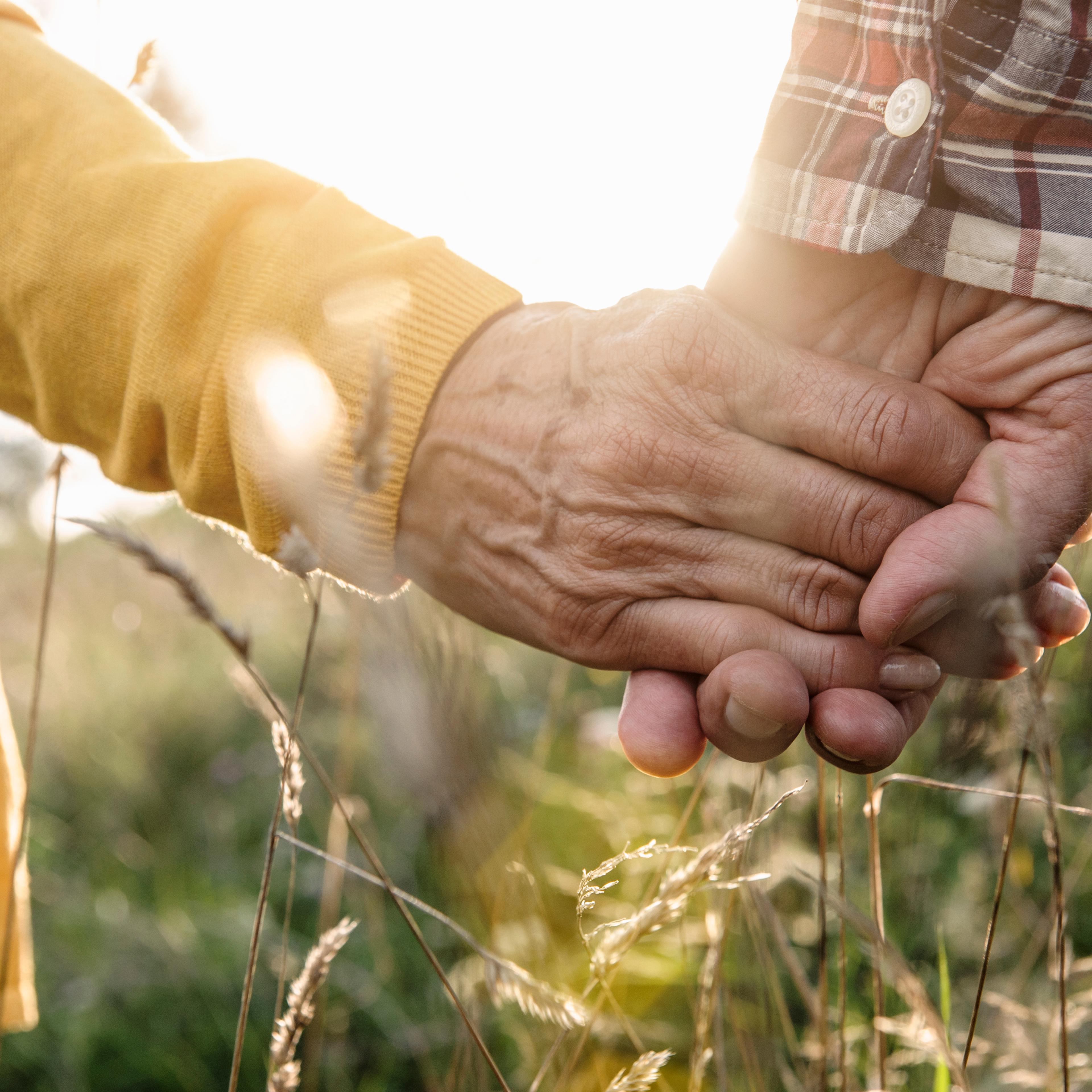 mature-couple-holding-hands-meadow
