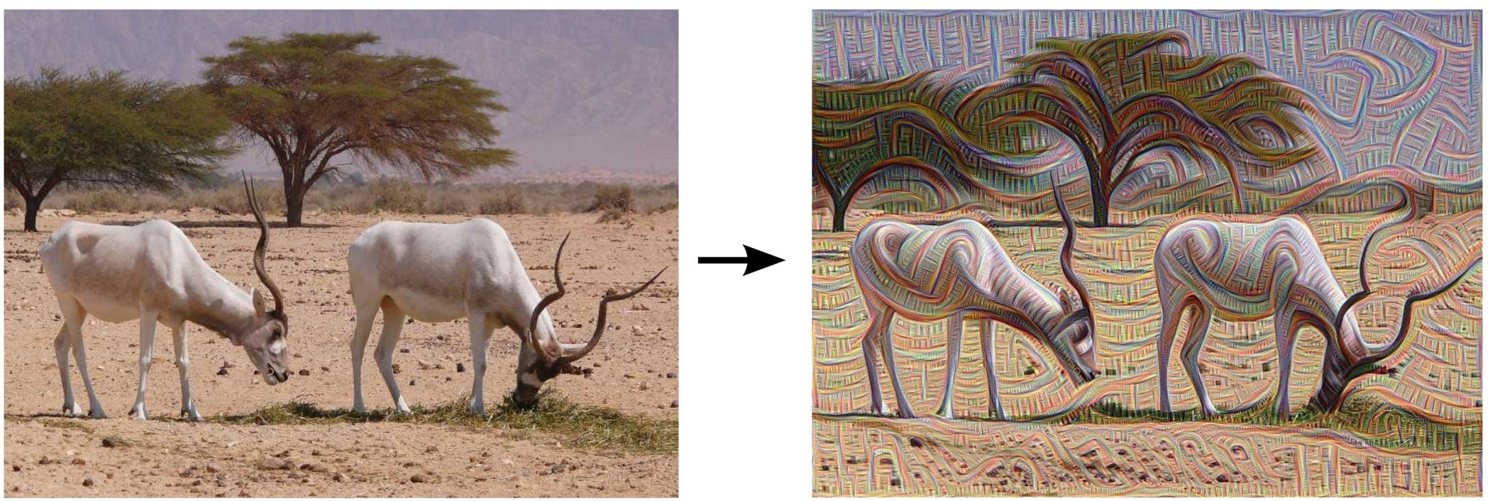 See the Fantastically Weird Images Google's Self-Evolving Software Made