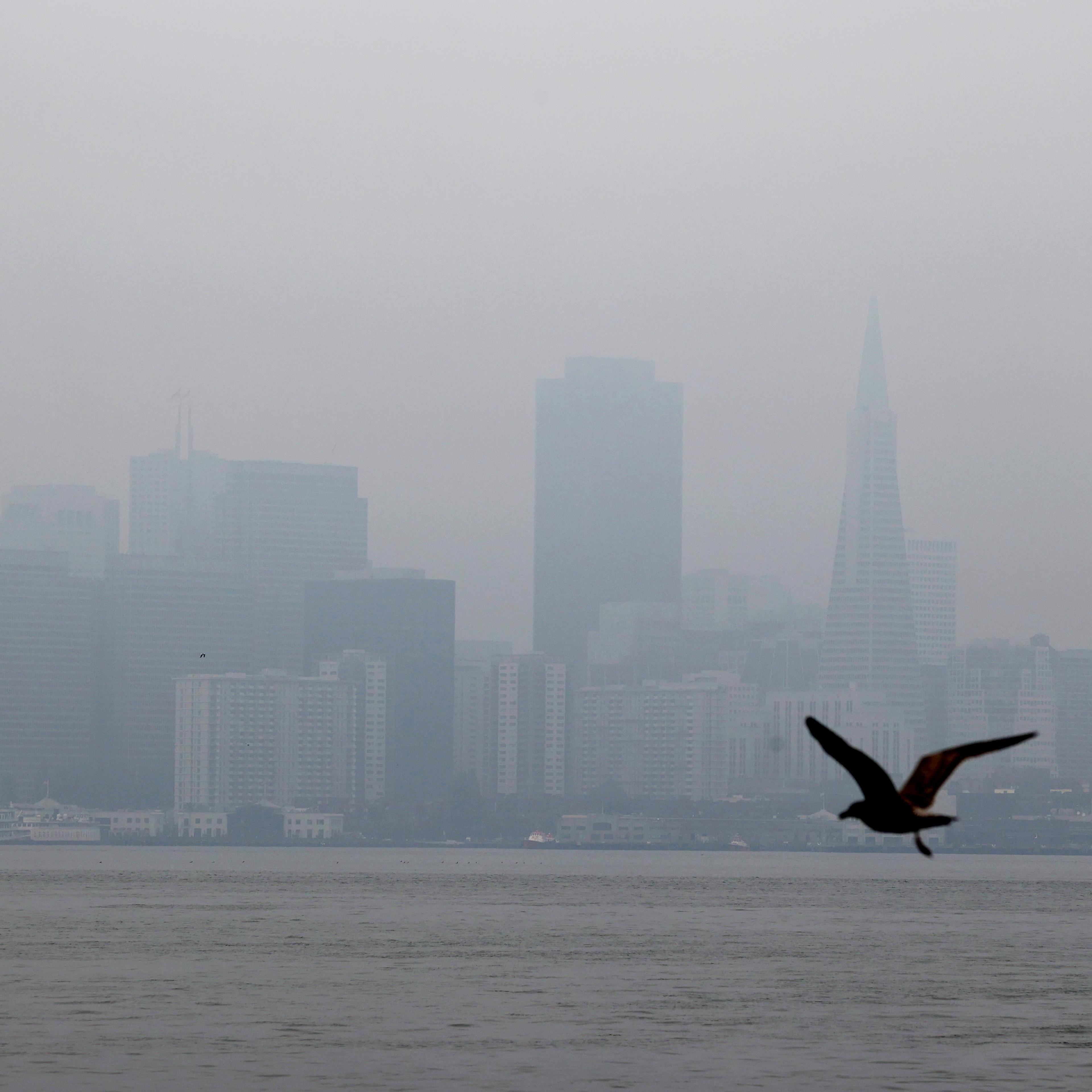 San Francisco Fires