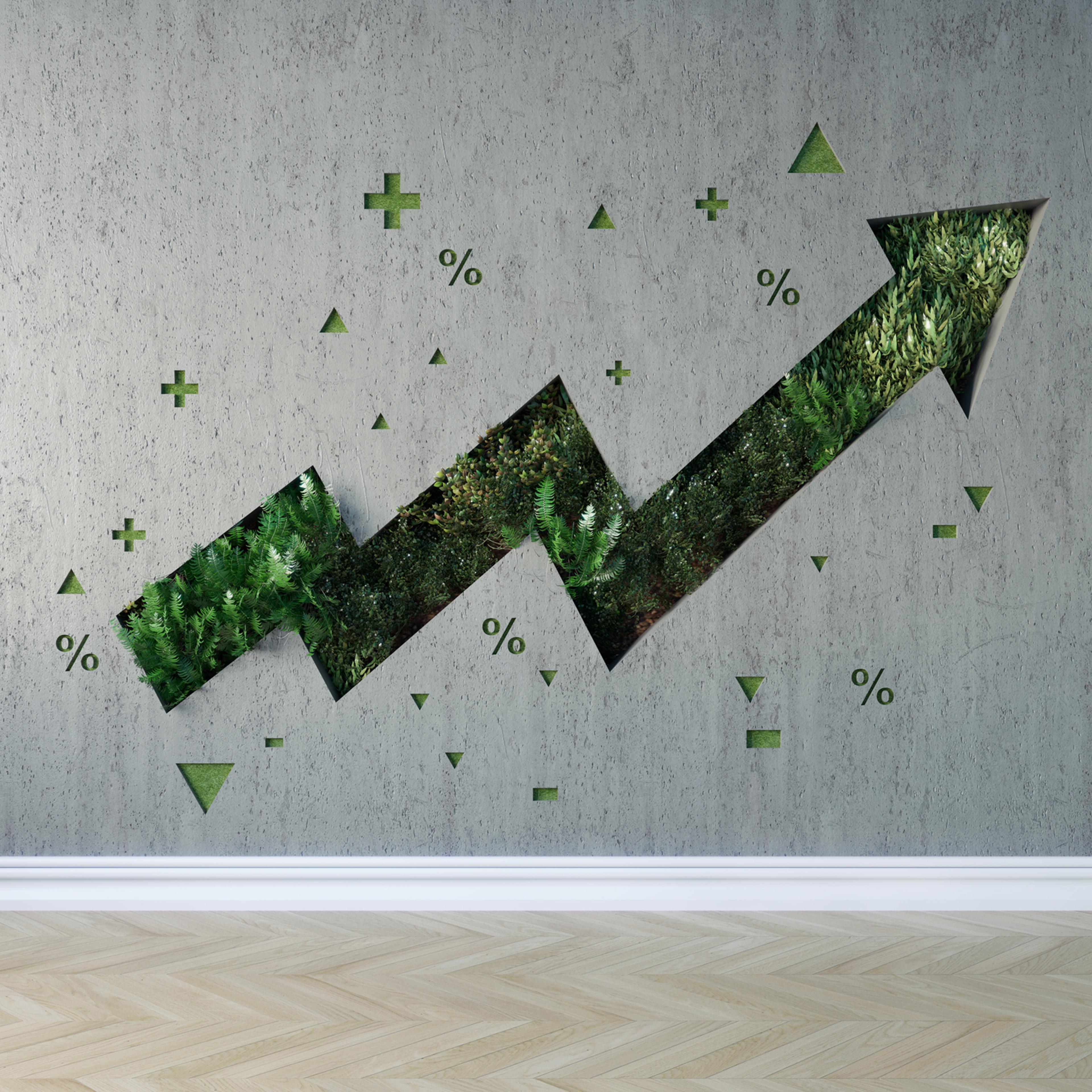 Growing graph on the wall interior