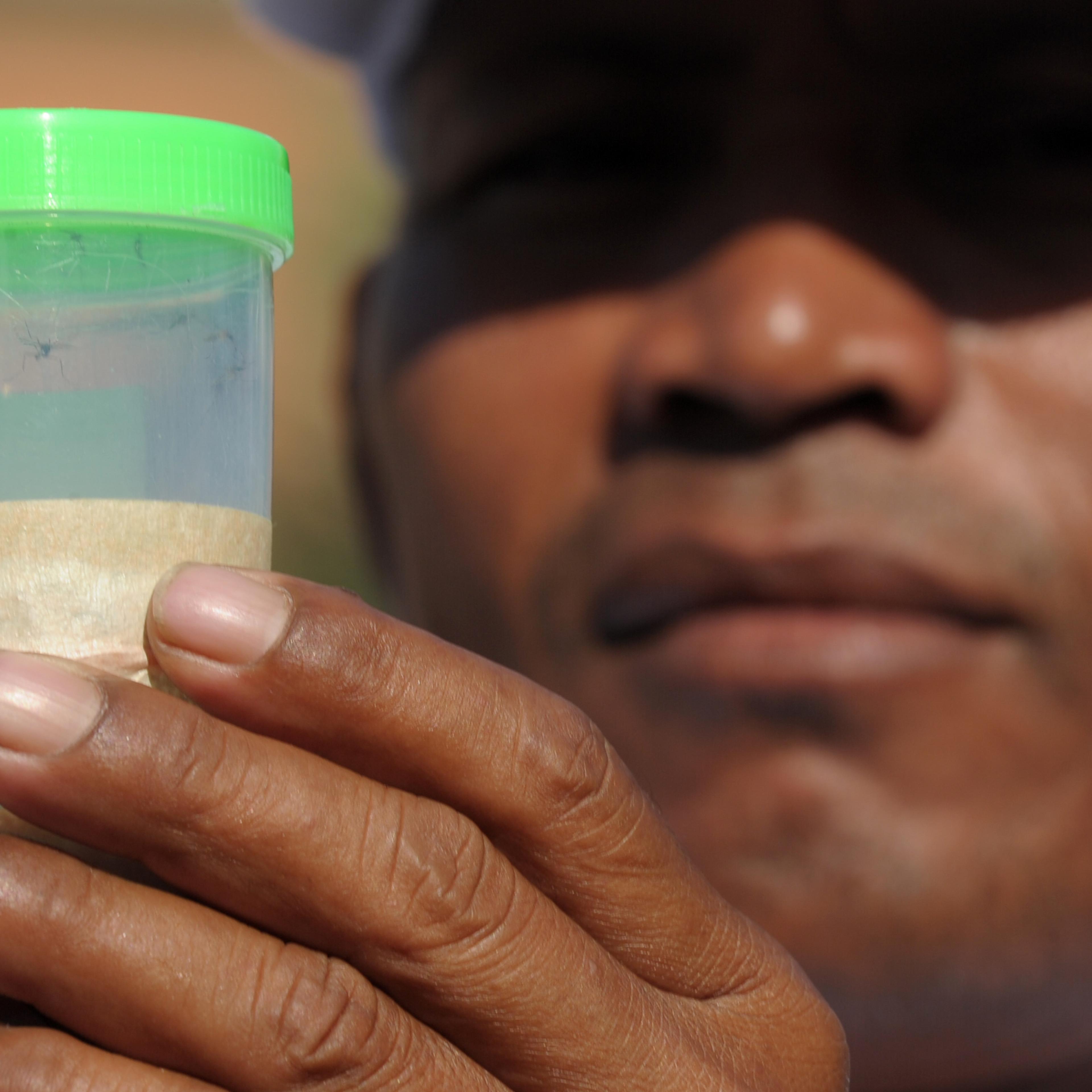 CAMBODIA-HEALTH-ZIKA