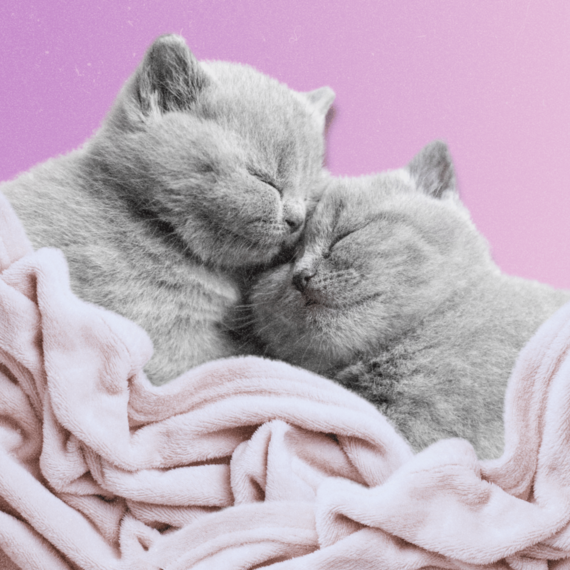 How Snuggling Affects Your Sleep