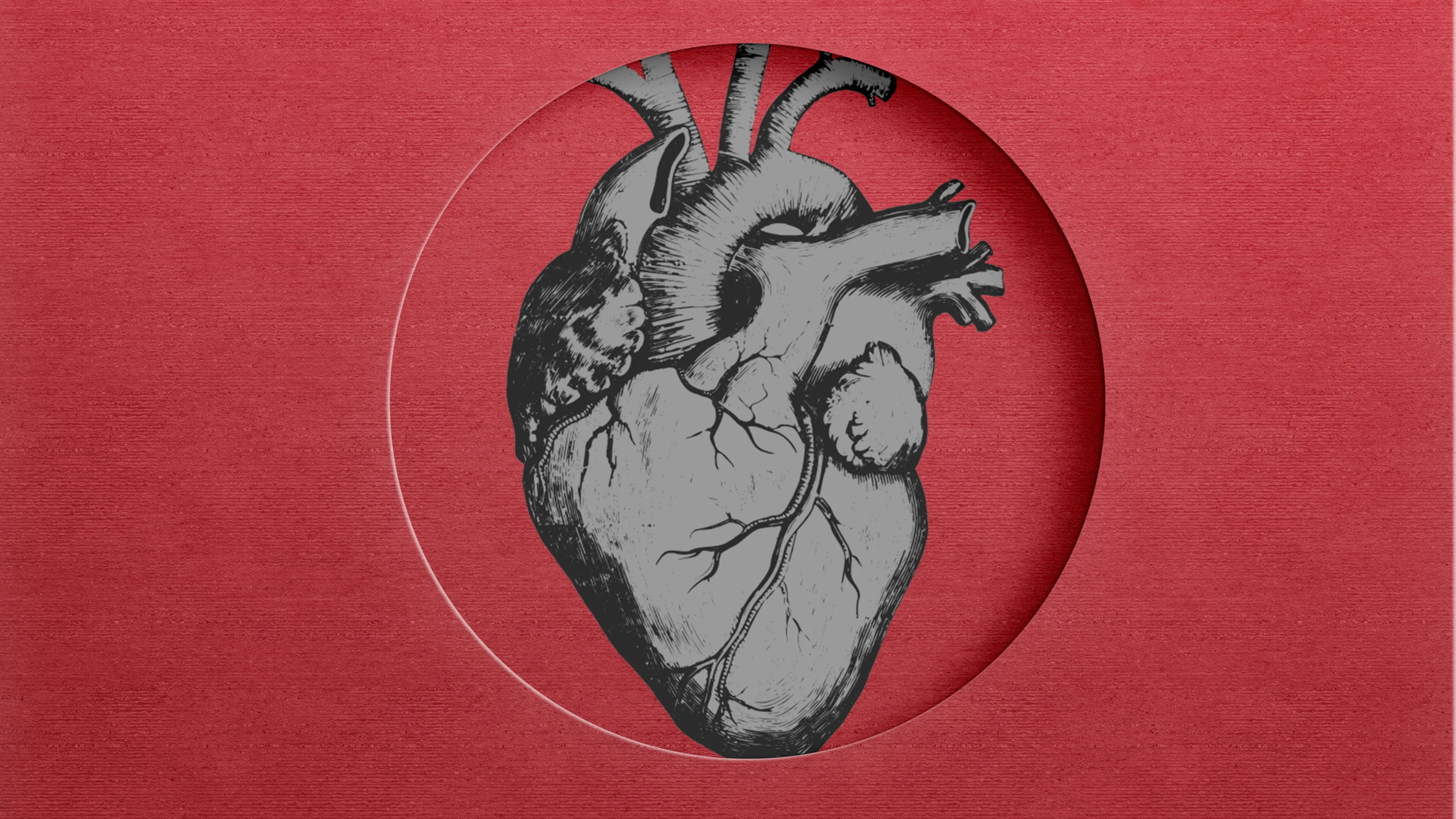 The Emerging Link Between Microplastics and Heart Disease
