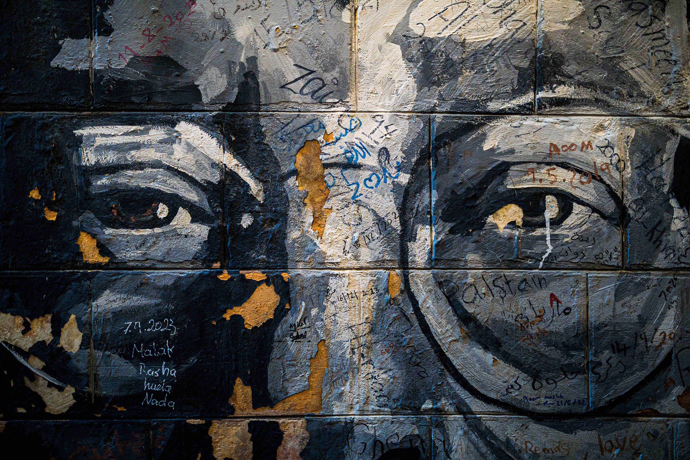 The Role of Poets in the Israel-Hamas War