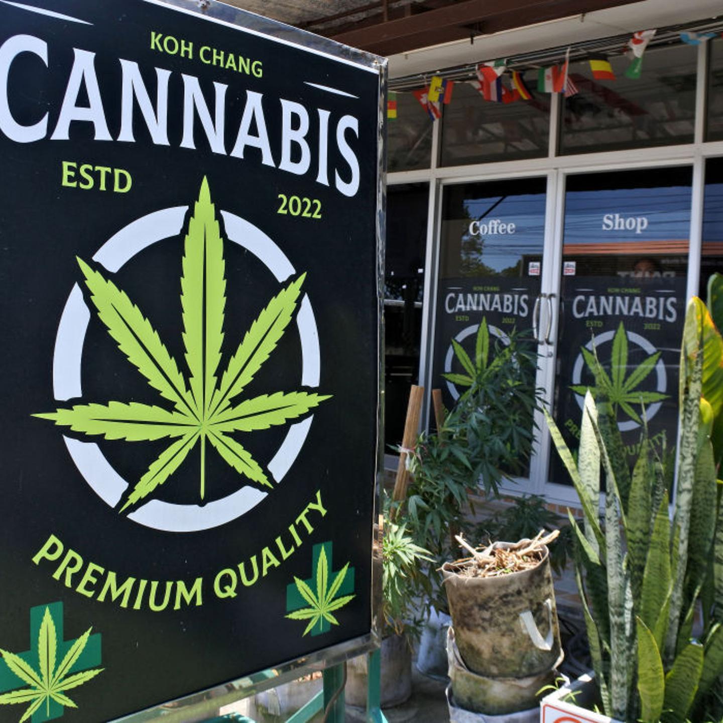 On Thailand's Koh Chang island several cannabis outlets have opened since the Kingdom of Thailand decriminalized marijuana for medical and personal use in 2022.
