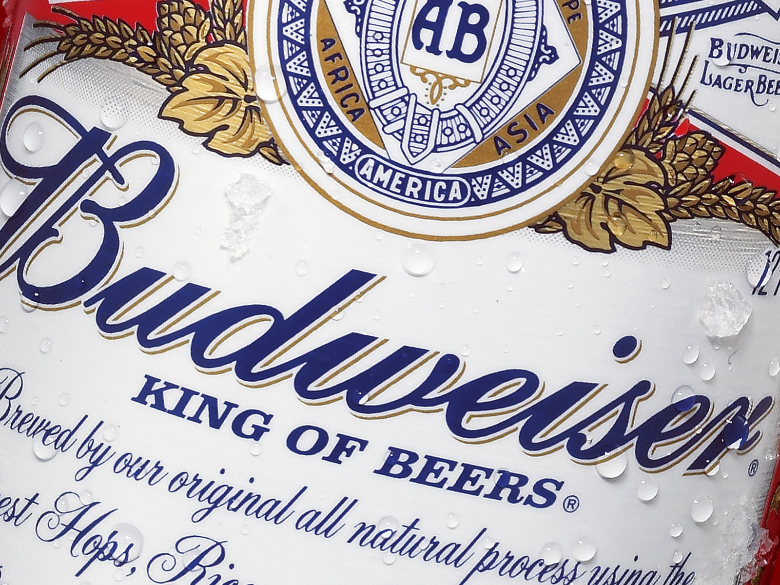 Budweiser Beer