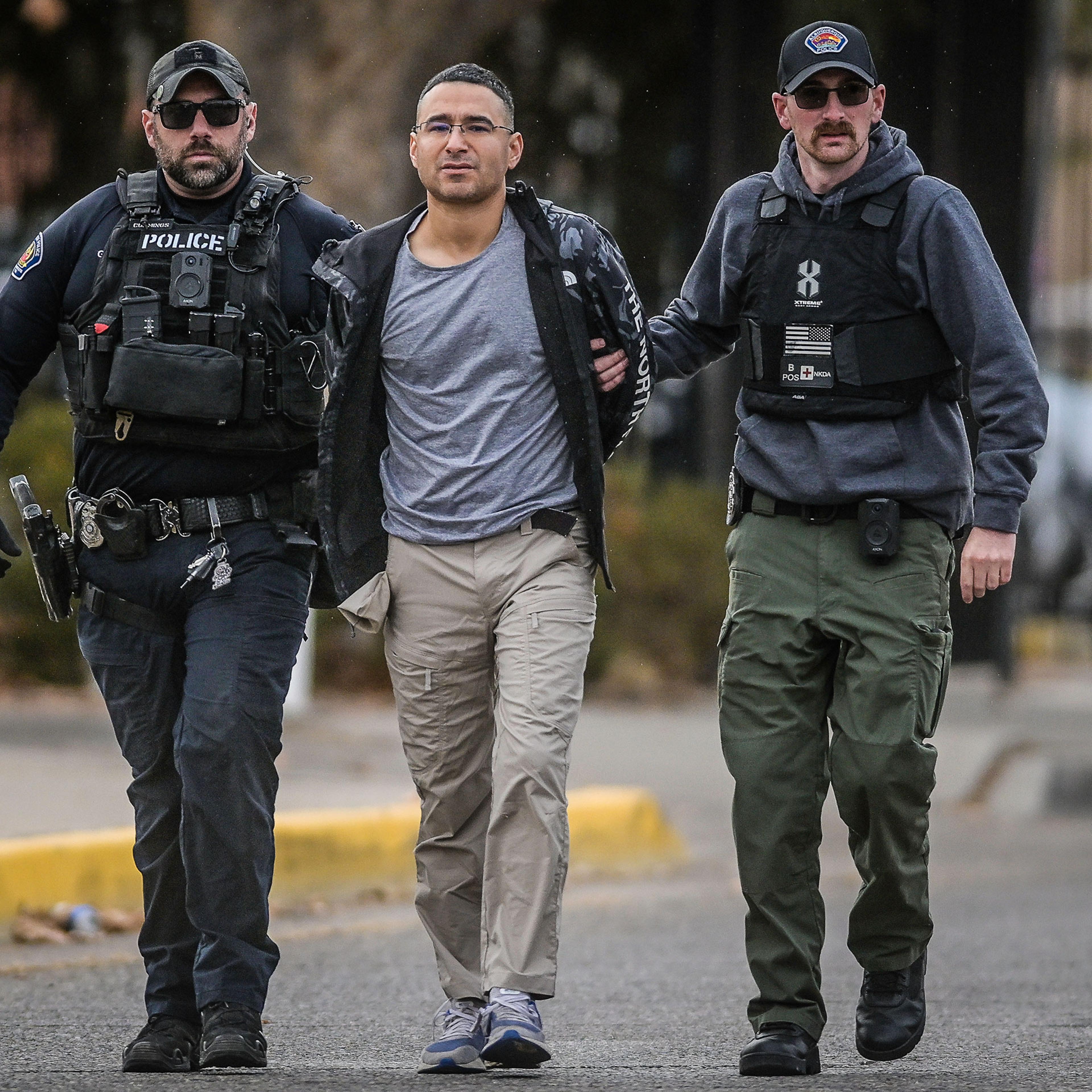 Gun Attacks-Elected Officials