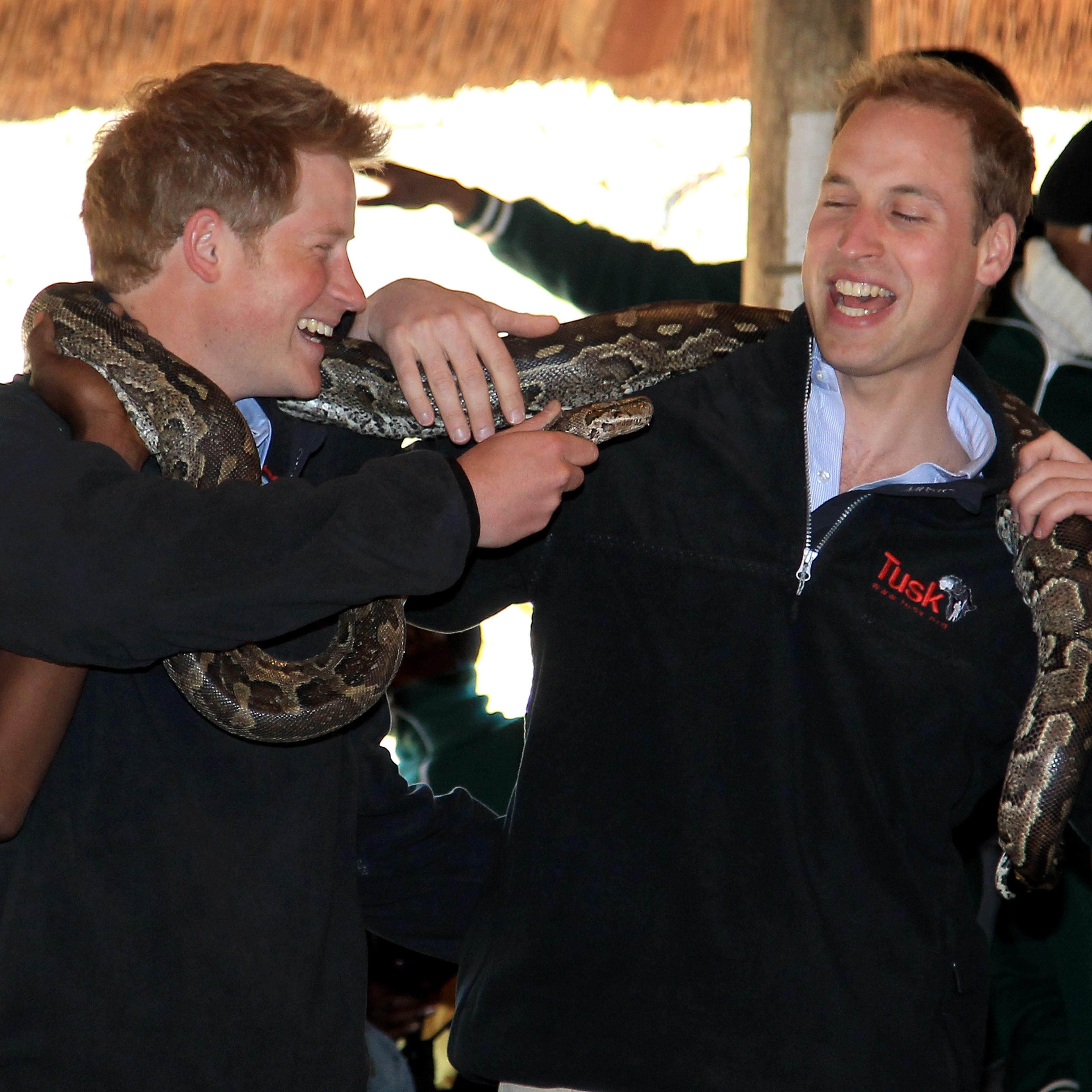 Prince William and Harry Visit Botswana - Day 2