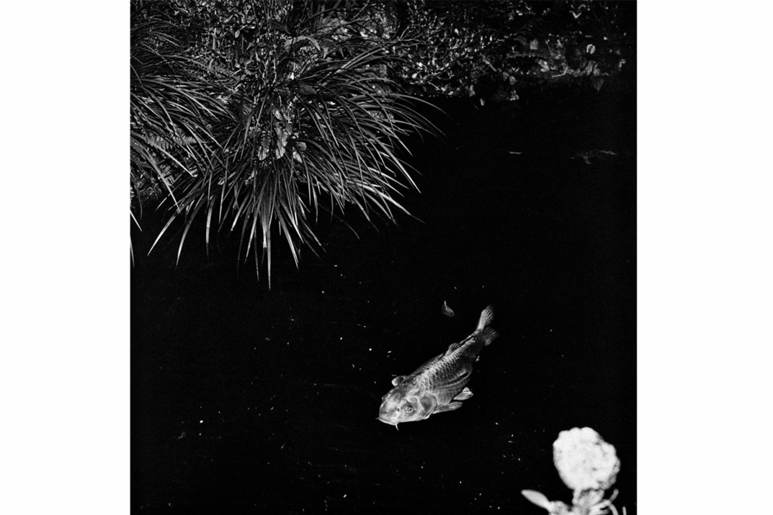 See Everyday Life in Japan Through the Lens of a Famous Photographer