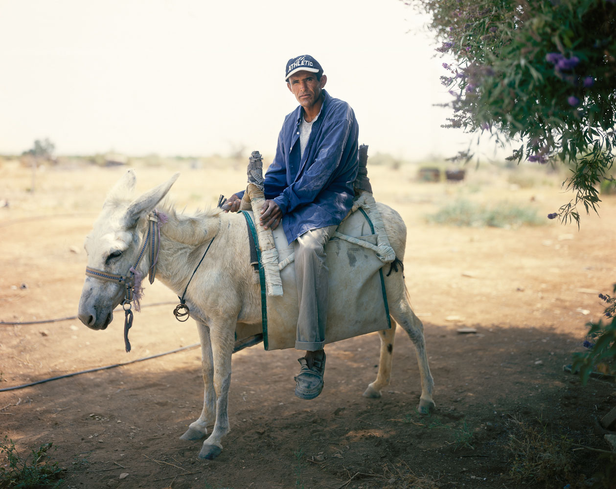 The Man On The White Donkey, HaBiqah, 2006