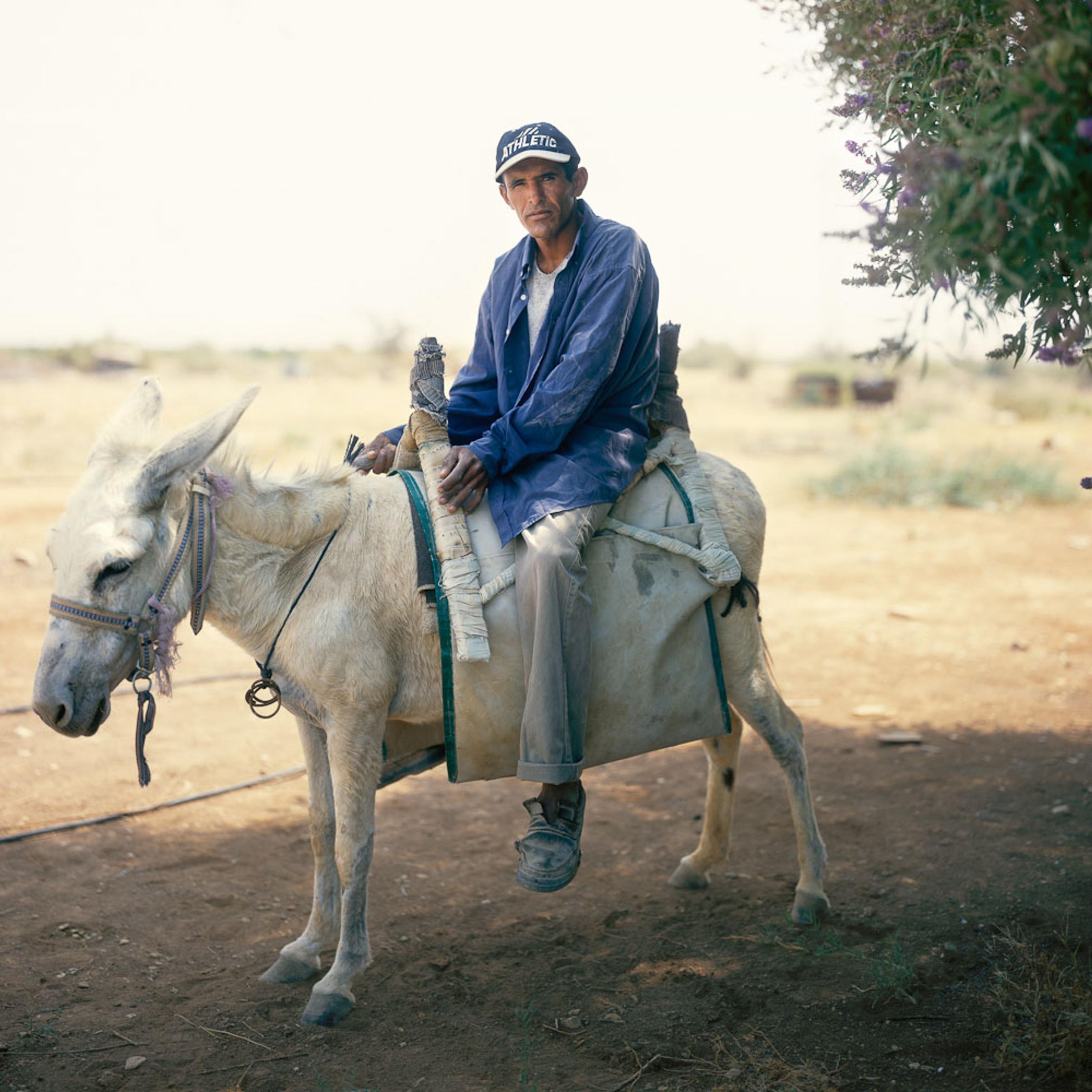 The Man On The White Donkey, HaBiqah, 2006