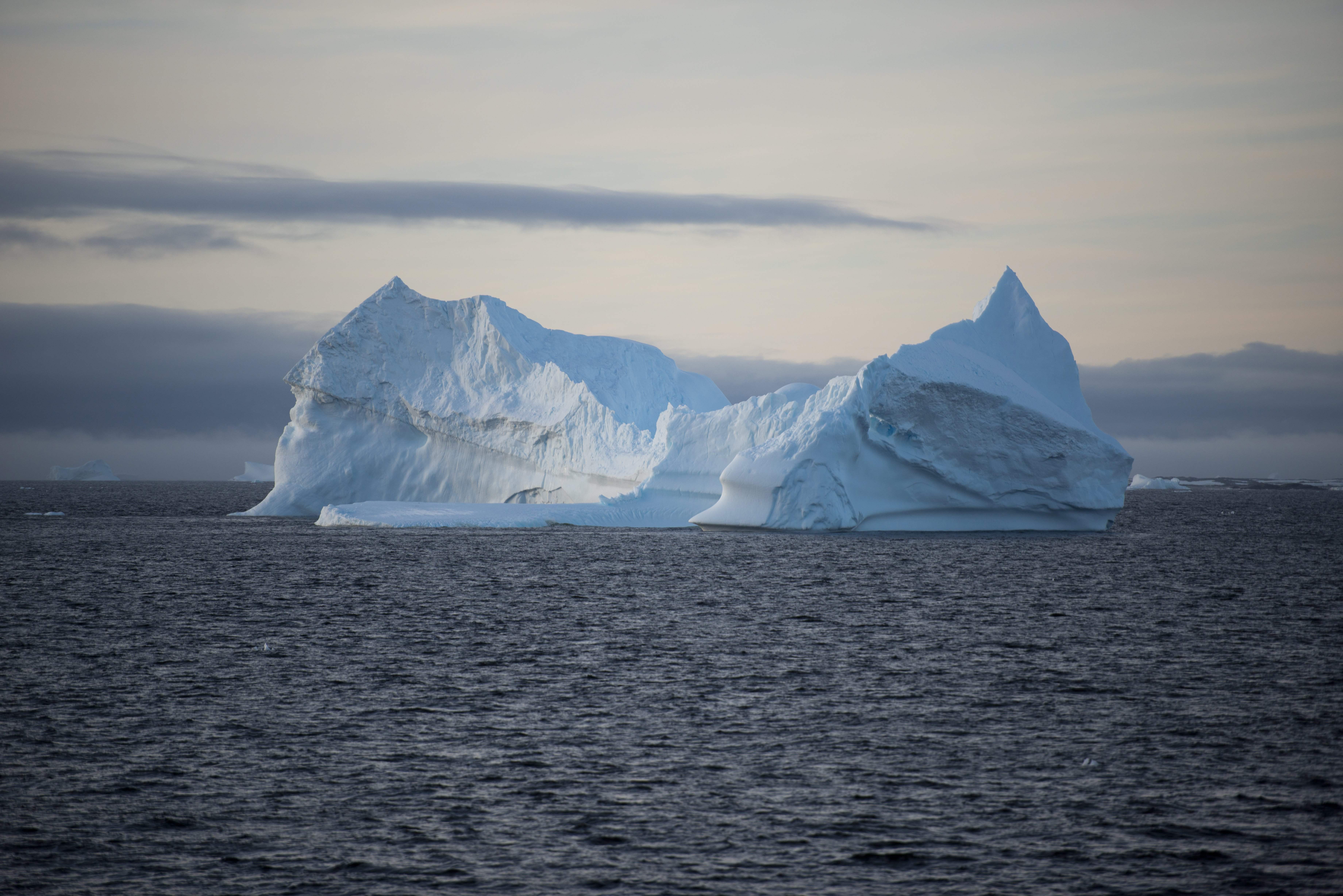 ANTARCTICA-ENVIRONMENT-KRILL-PENGUINS