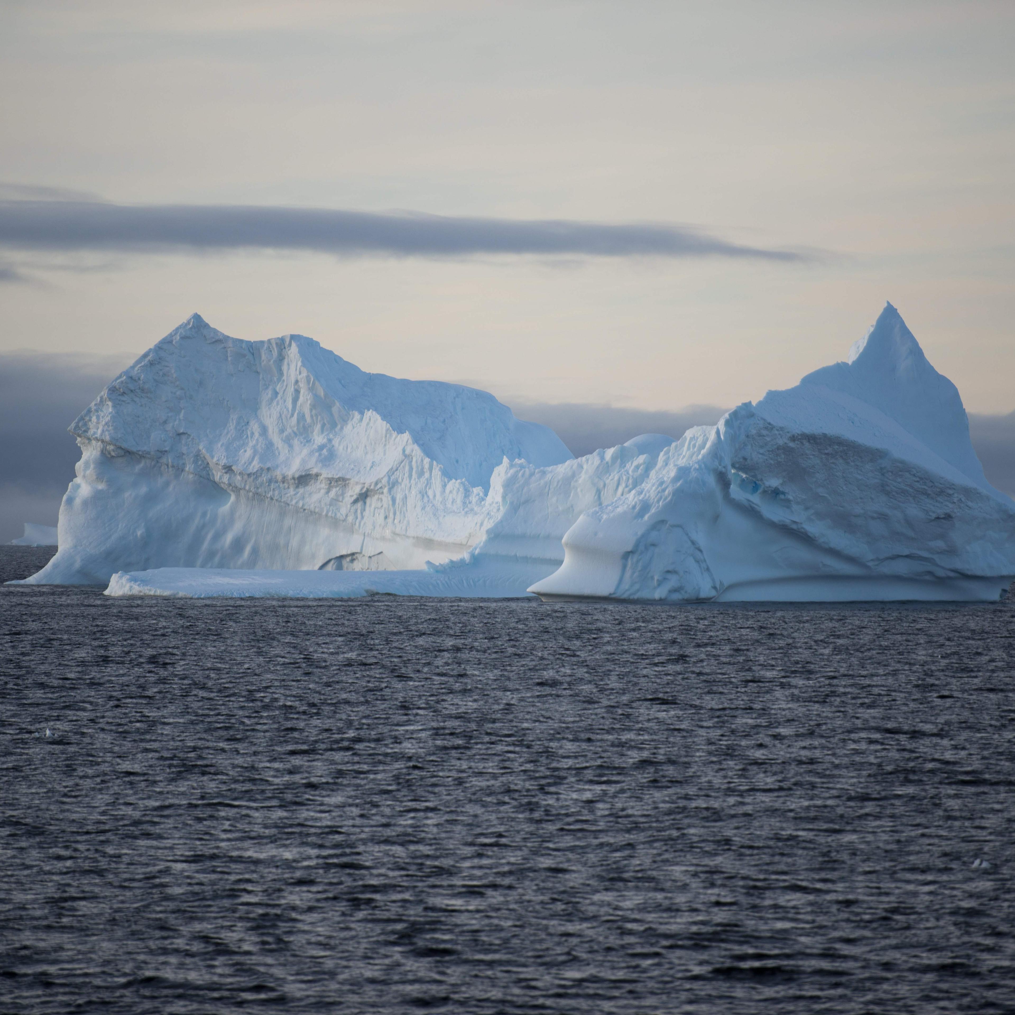 ANTARCTICA-ENVIRONMENT-KRILL-PENGUINS