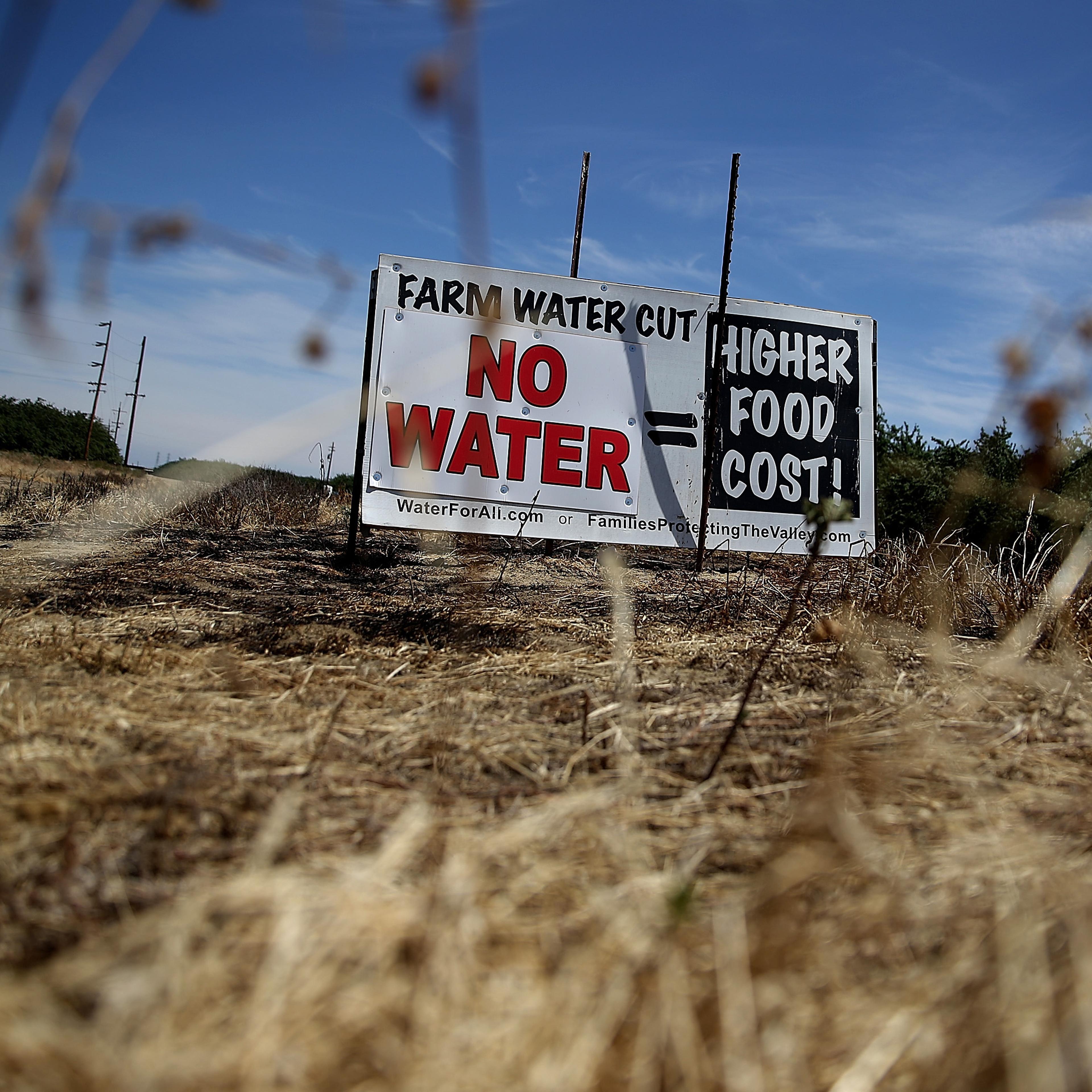 A sign referencing the drought is posted on the side of the road on April 24, 2015 in Firebaugh, California.