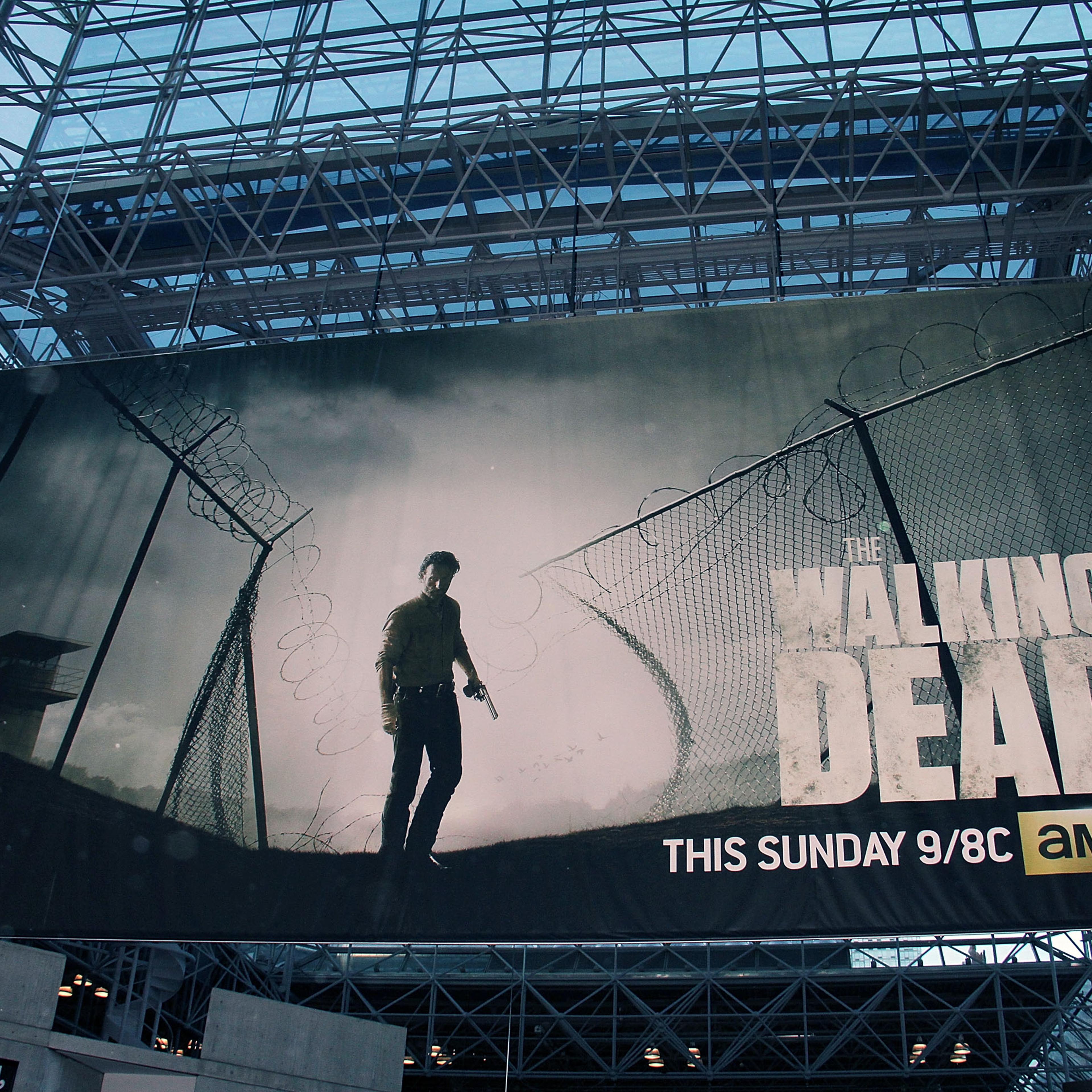 "The Walking Dead" Panel At New York Comic Con