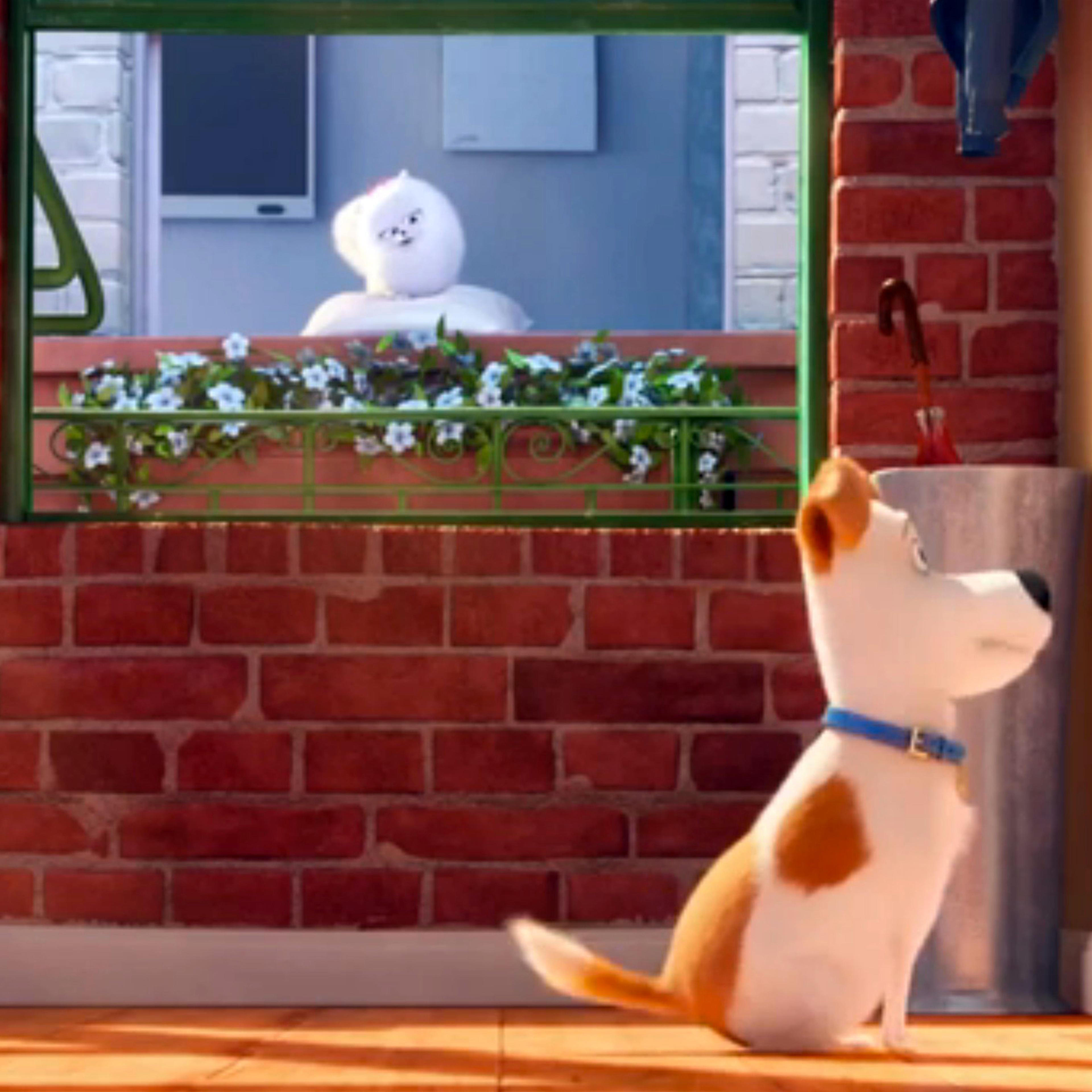 Secret Life of Pets