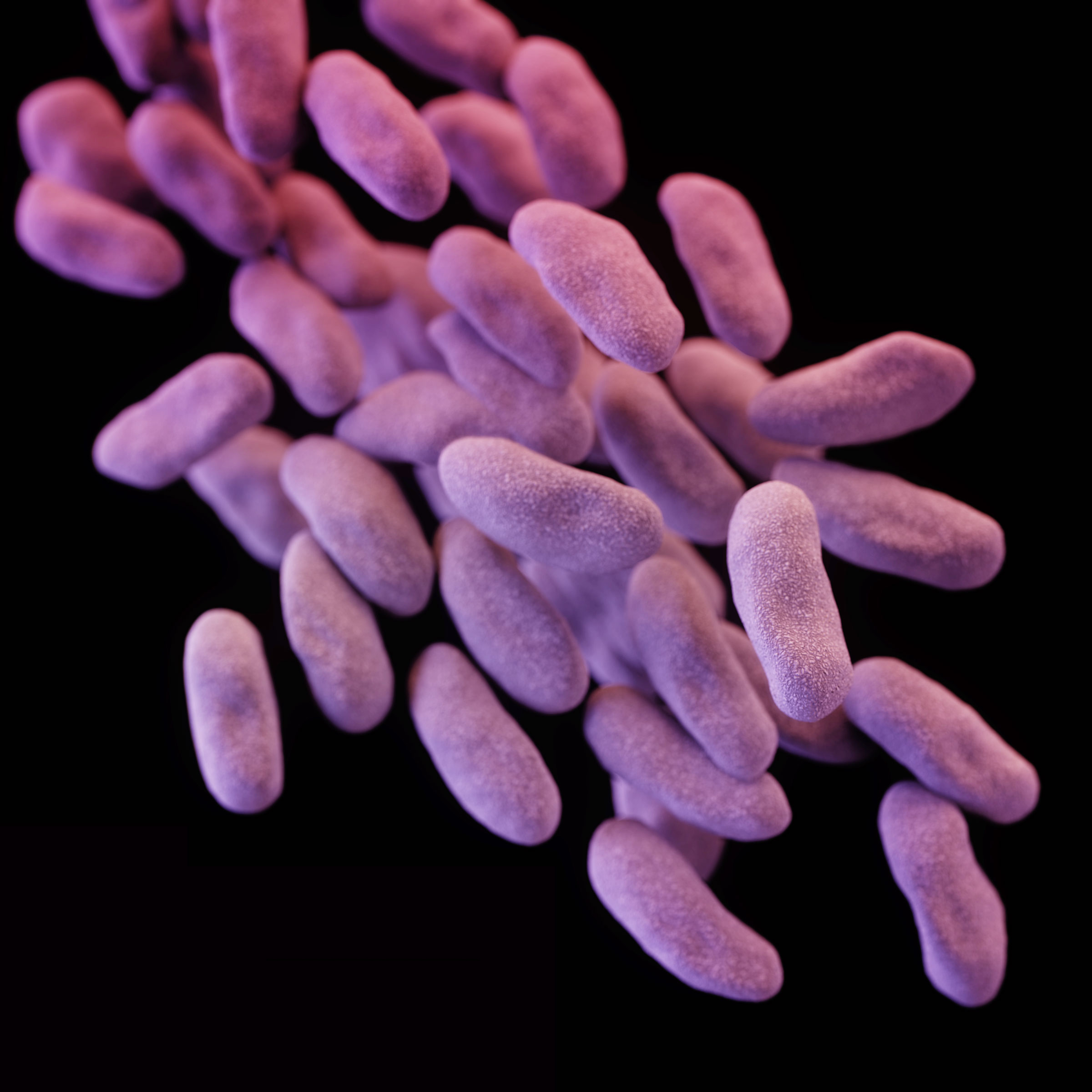 CRE superbug phantom menace