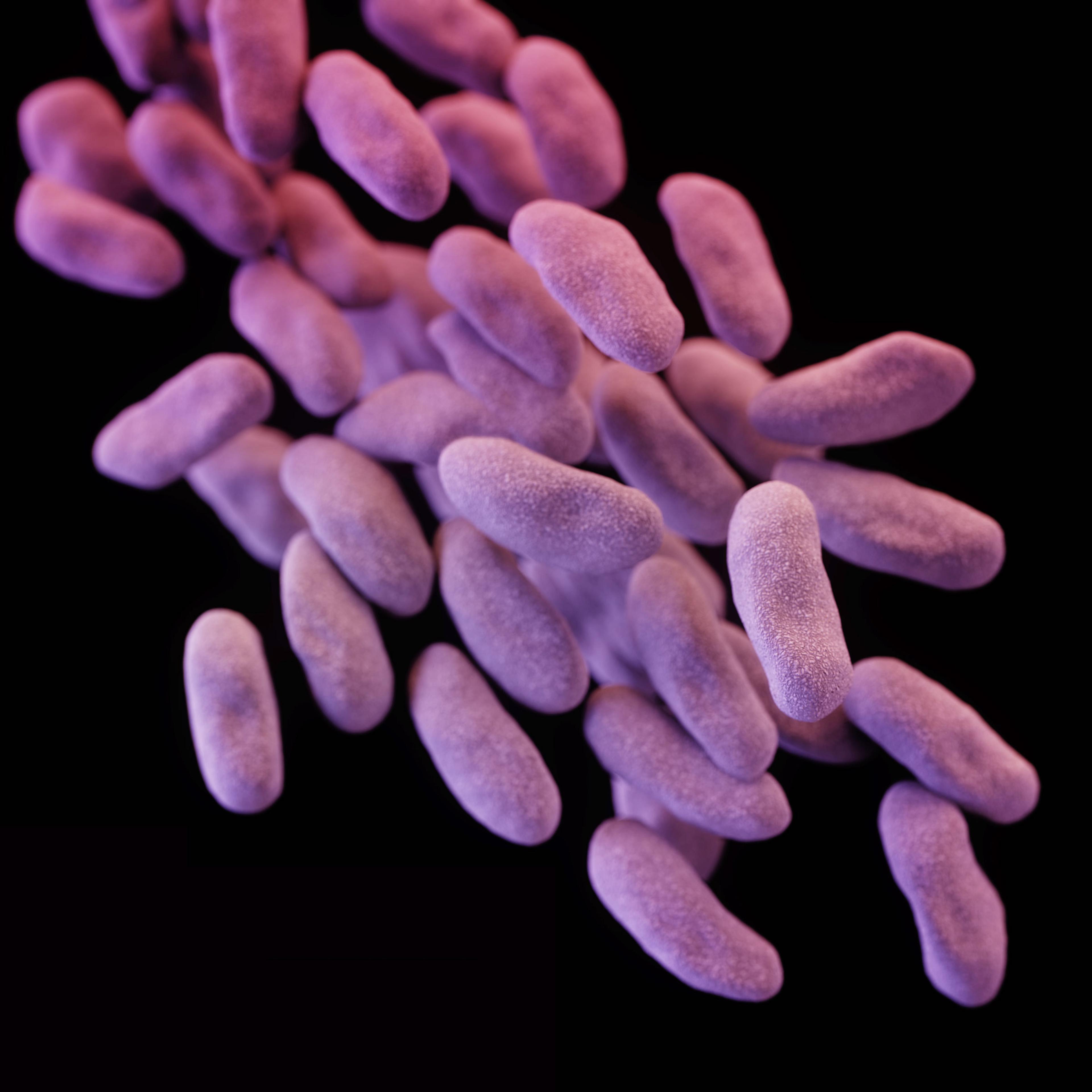 CRE superbug phantom menace