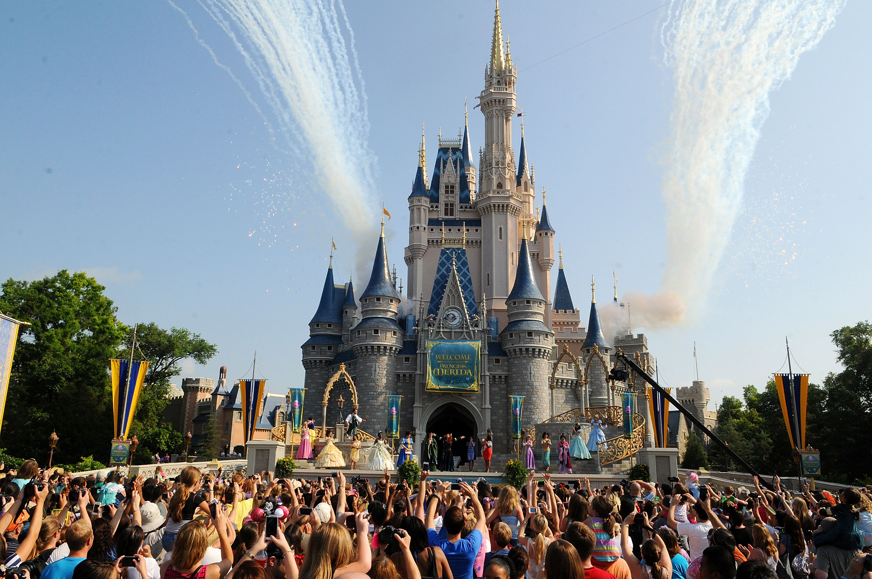 Merida's Royal Celebration