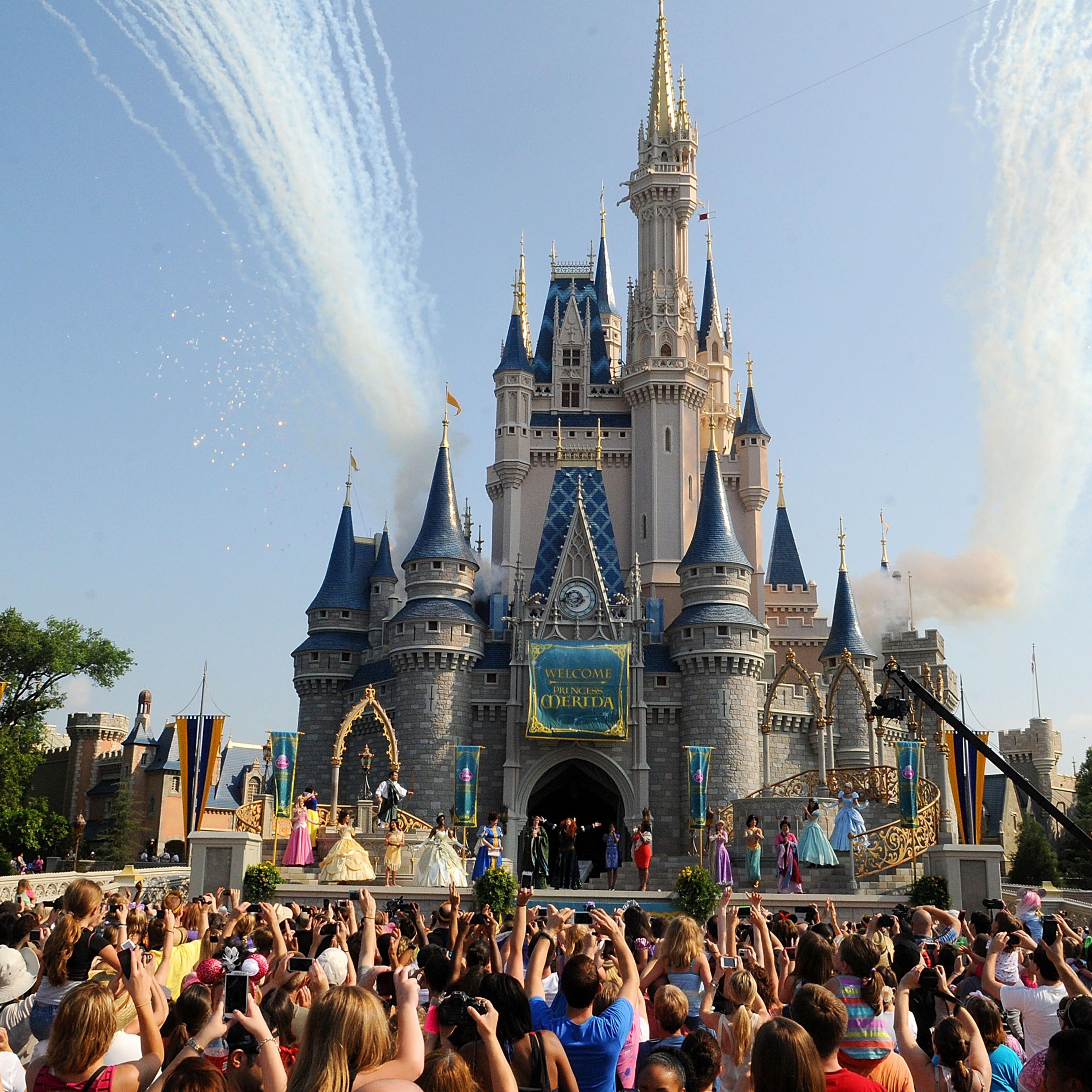 Merida's Royal Celebration