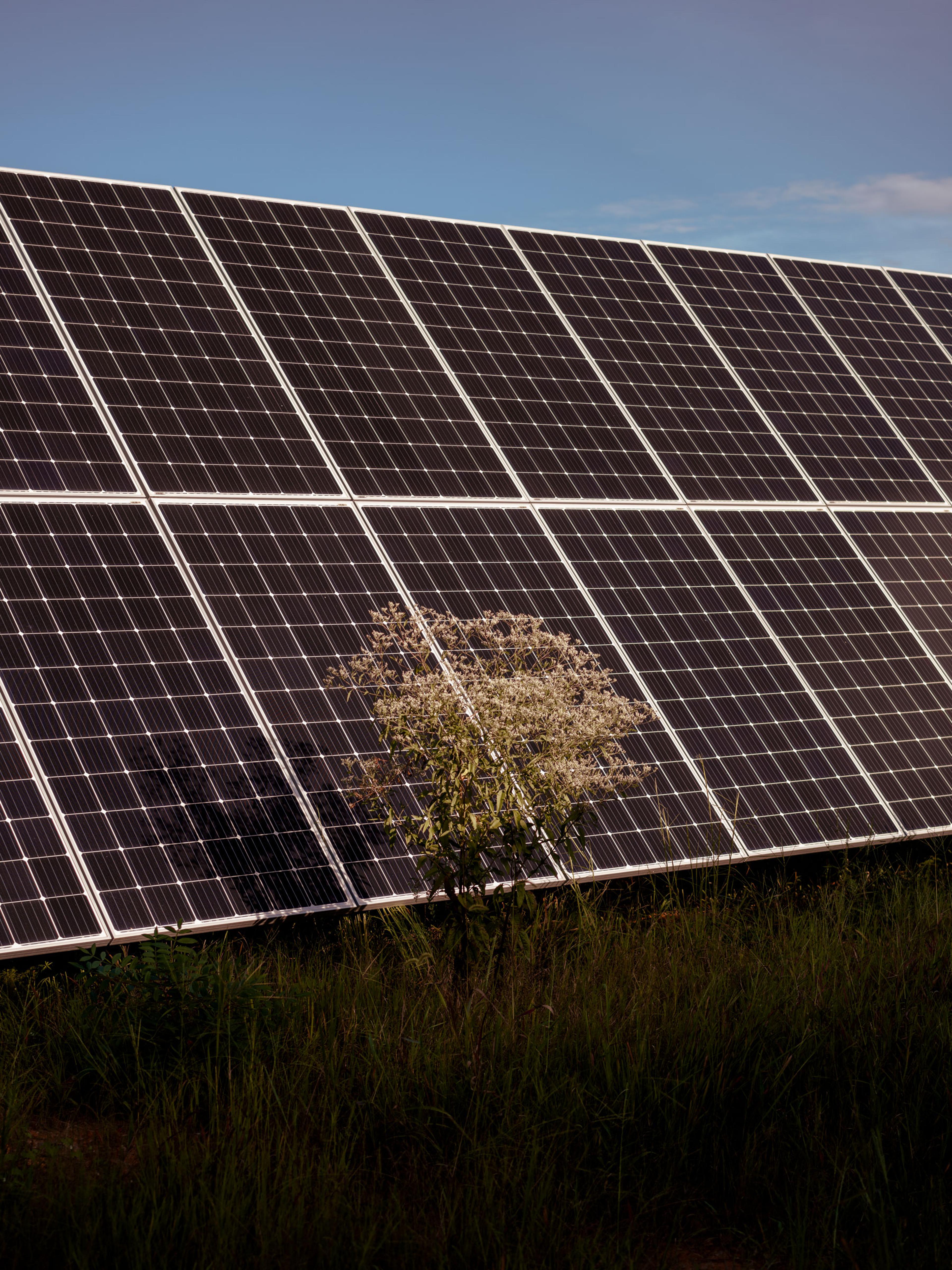 solar panel