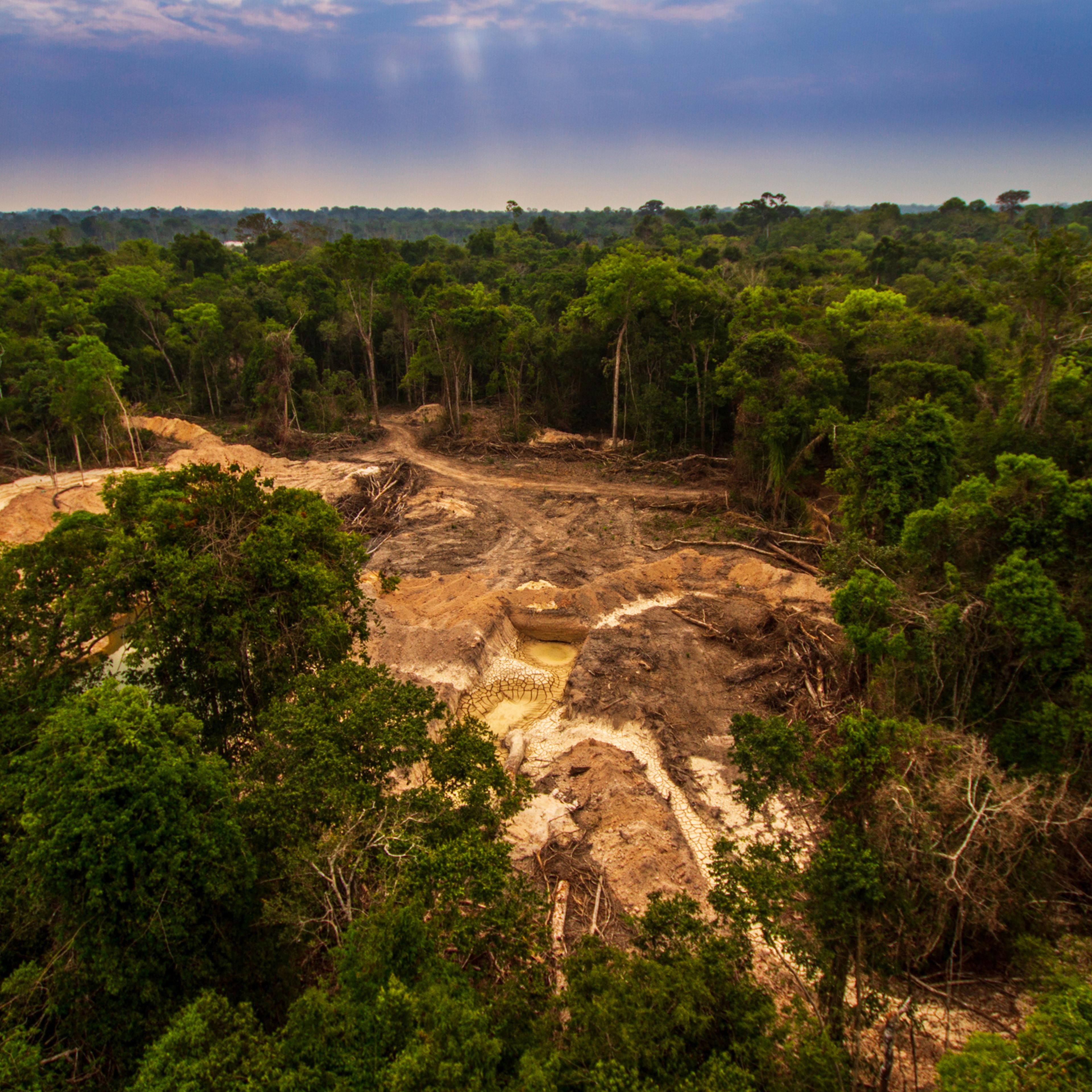 Illegal mining causes deforestation and river pollution in the Amazon rainforest near Menkragnoti Indigenous Land. - Pará, Brazil