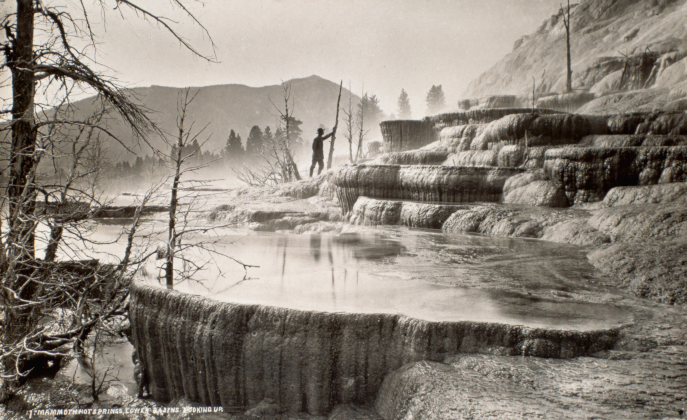 Mammoth Hot Springs at Yellowstone