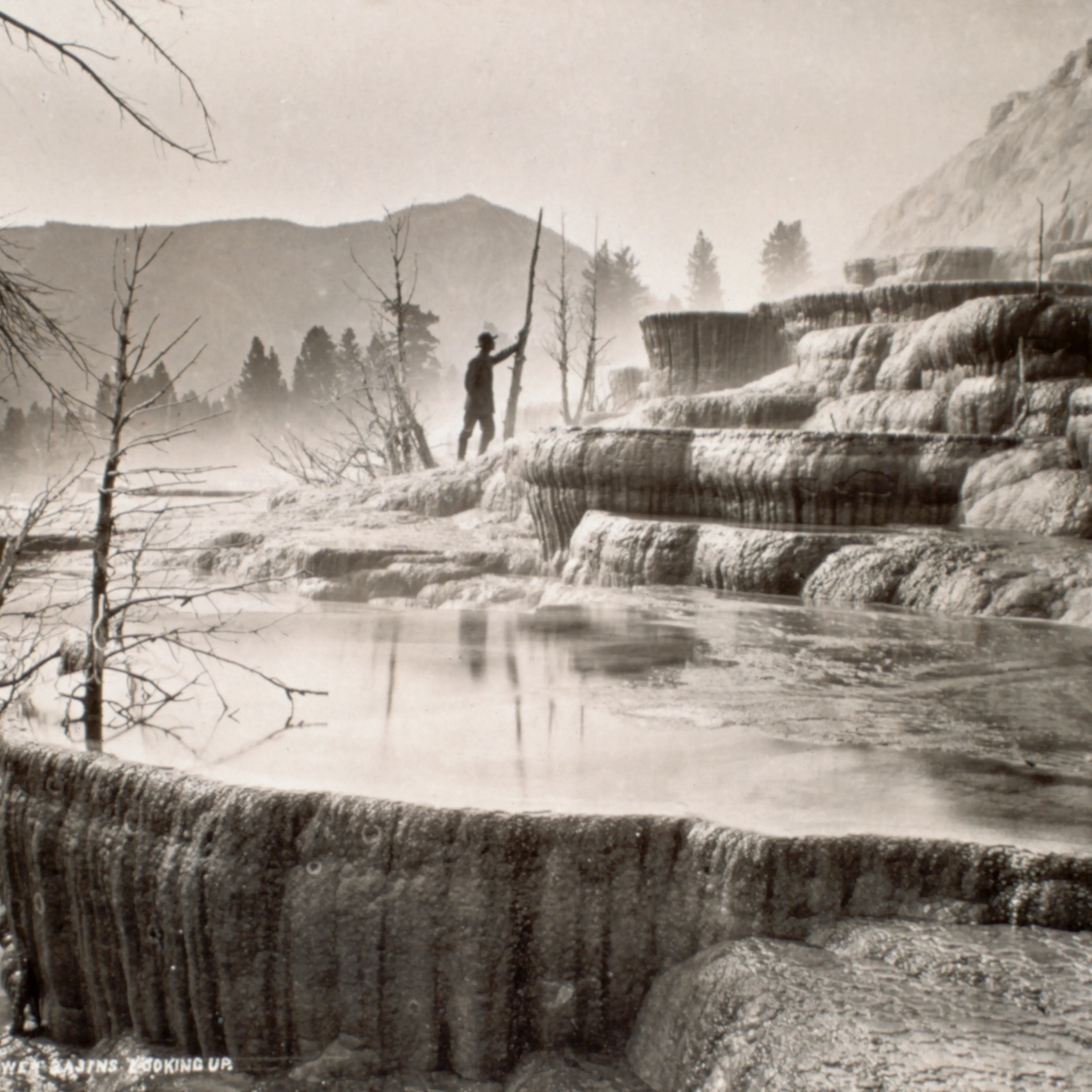 Mammoth Hot Springs at Yellowstone