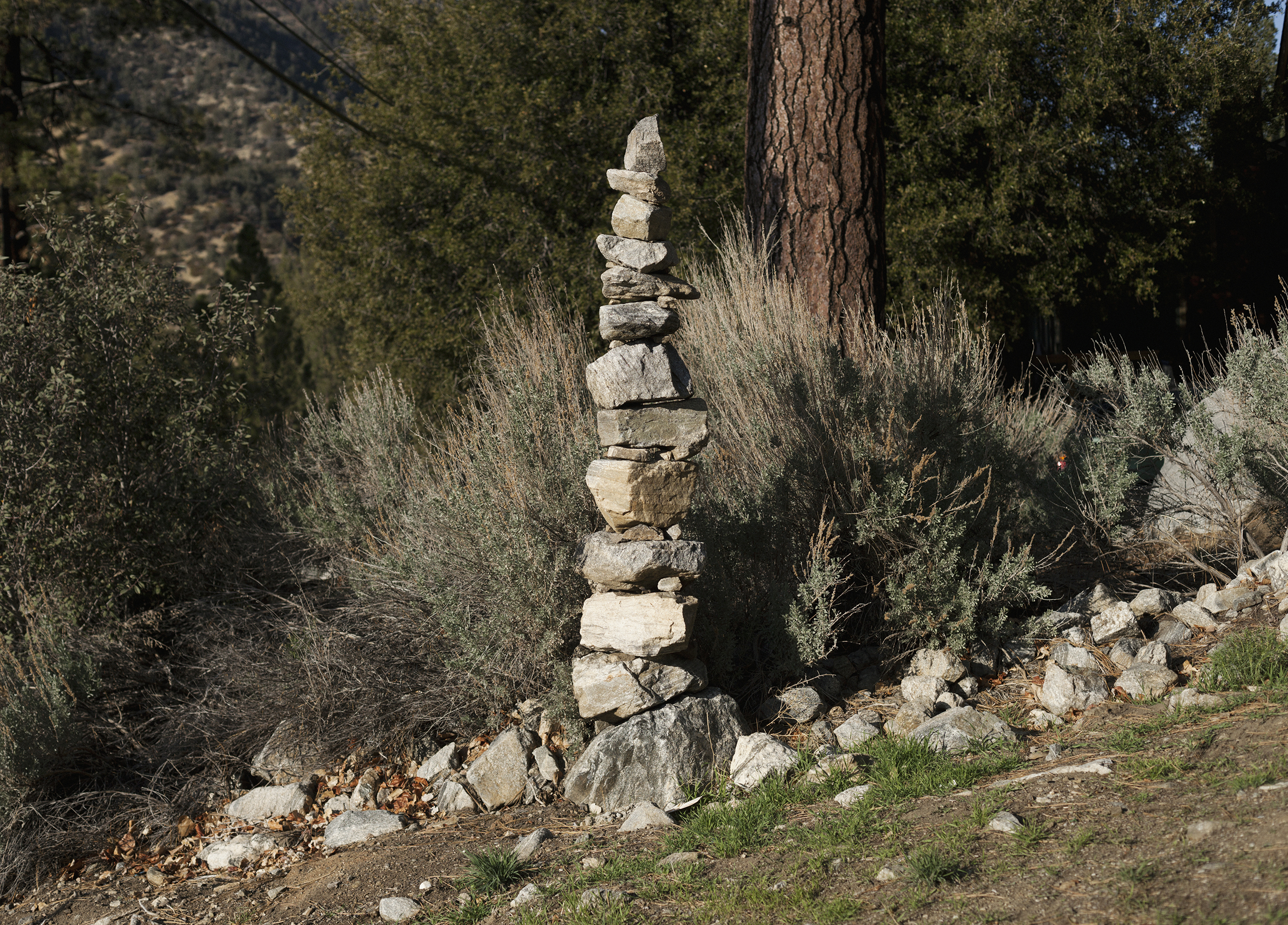 San Andreas Fault, California: Pine Mountain Club.Photo: Knut Egil Wang/Moment/Institute