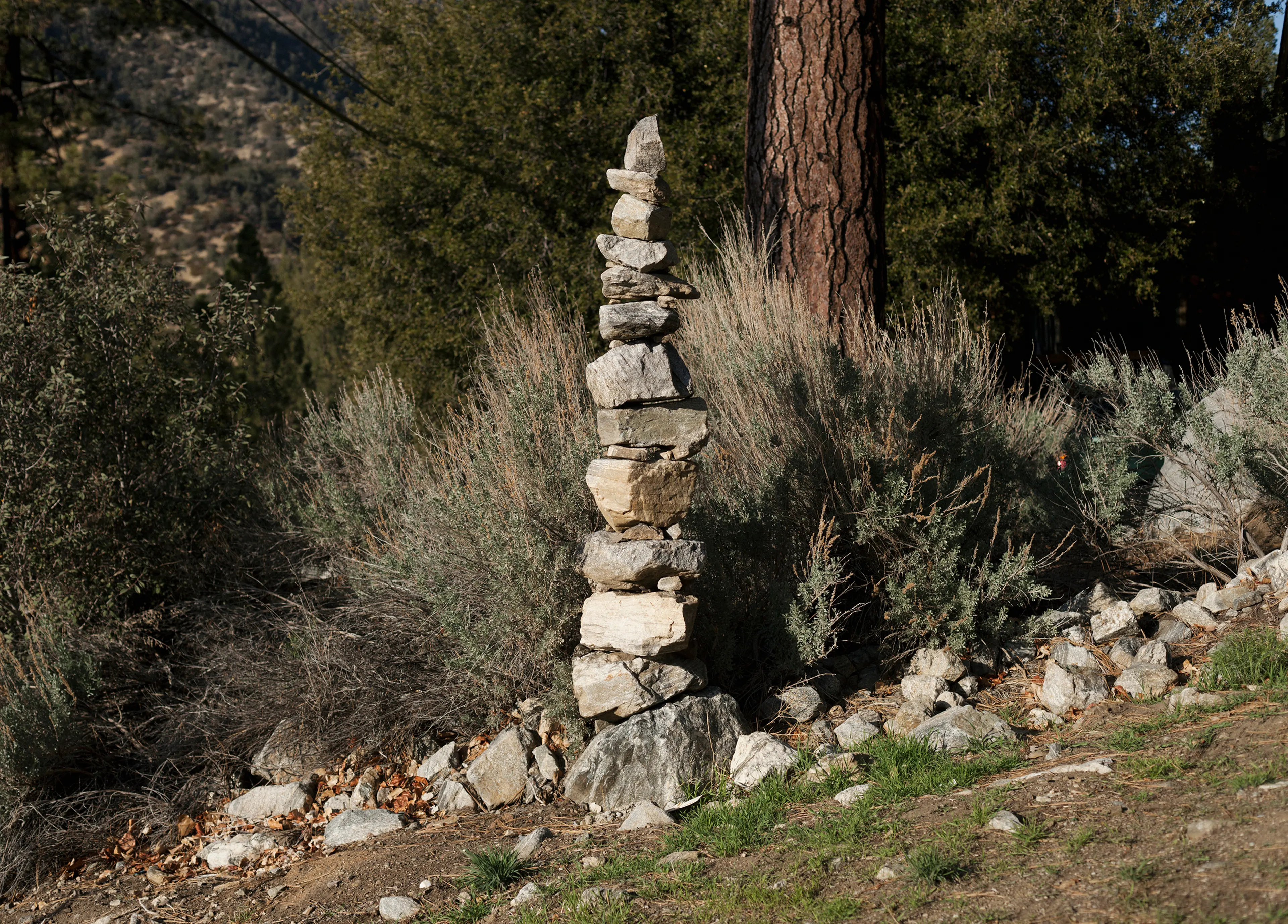 San Andreas Fault, California: Pine Mountain Club.Photo: Knut Egil Wang/Moment/Institute