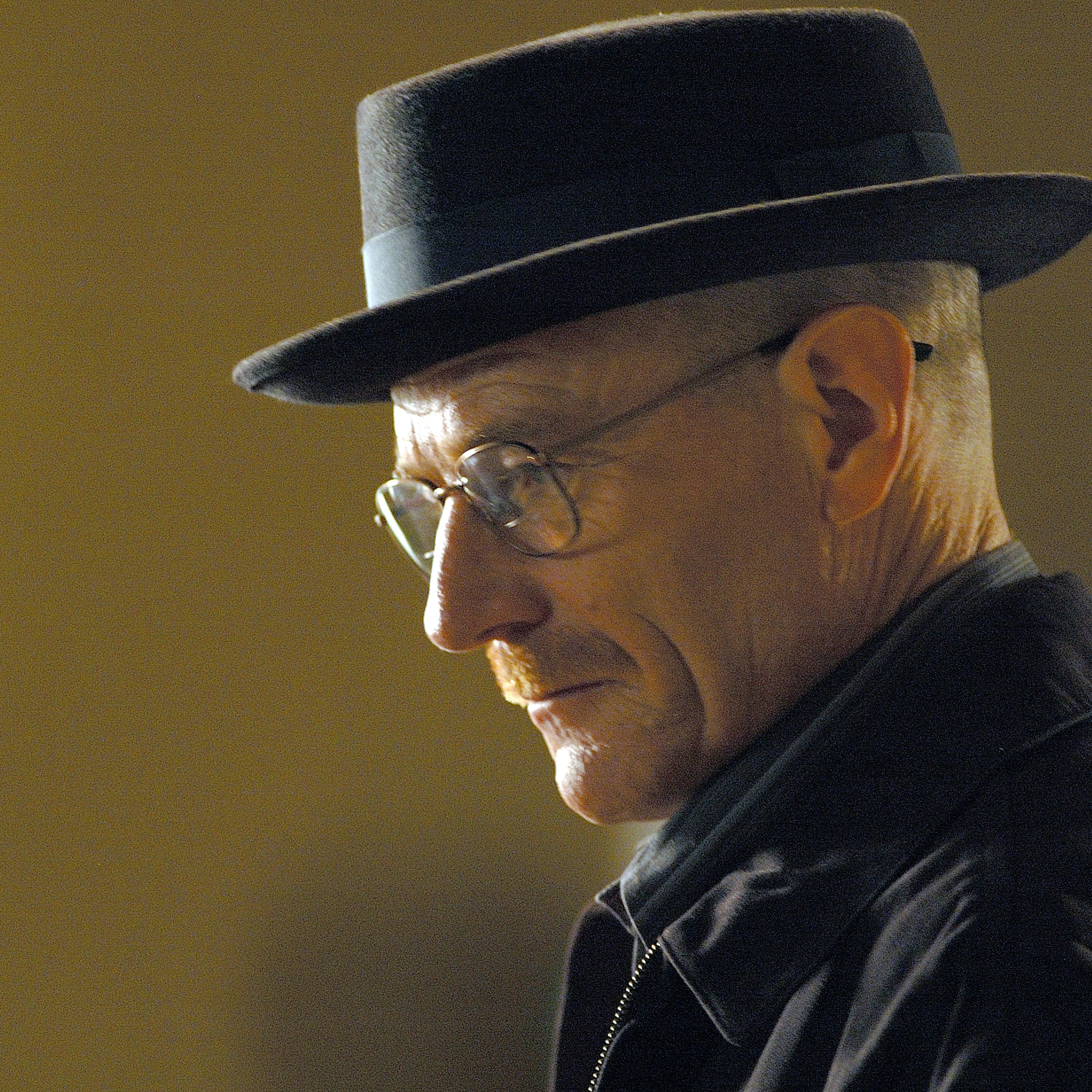Bryan Cranston Breaking Bad