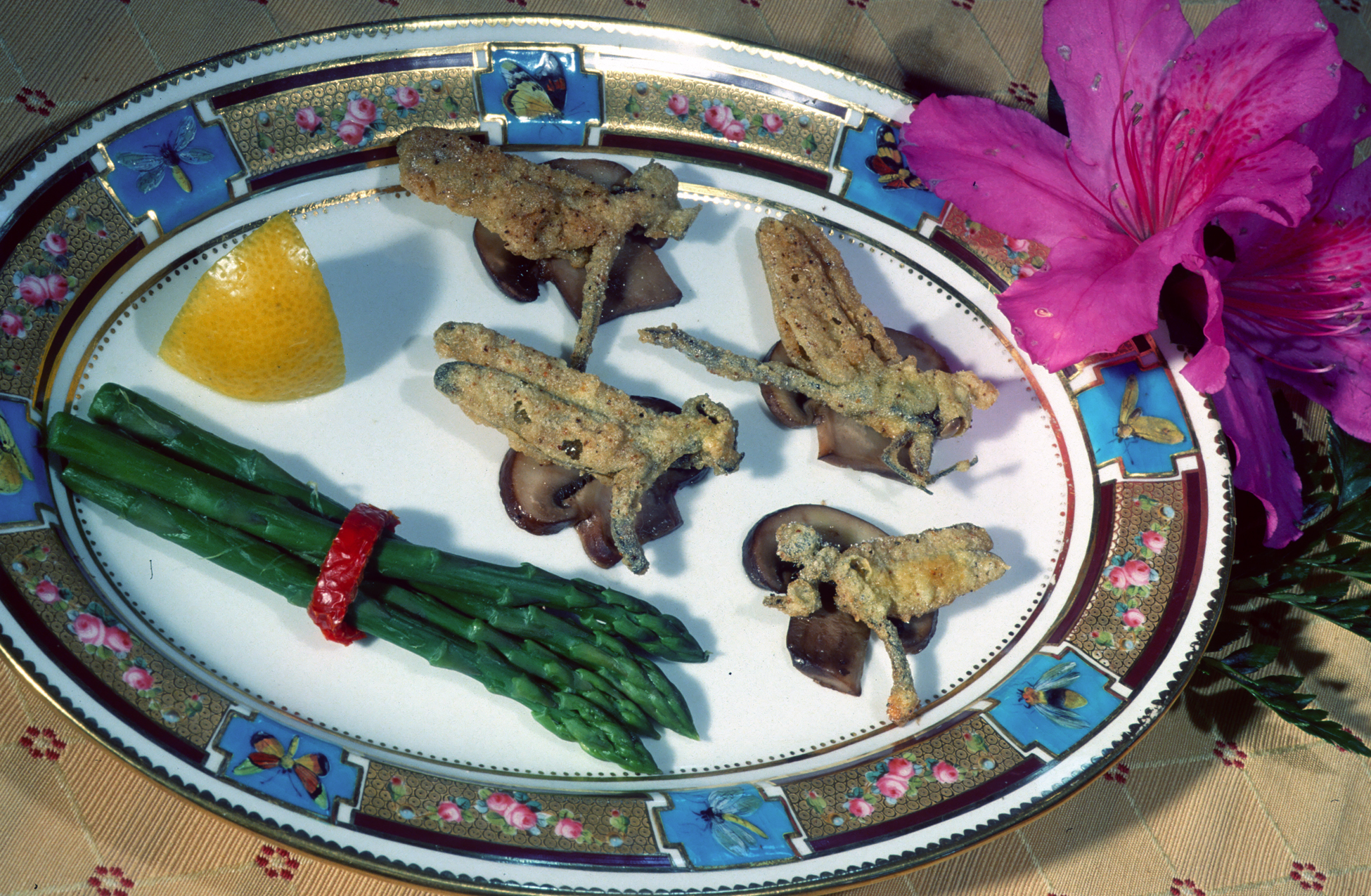 Eating Bugs: Bug Recipes and Insect Recipes from Chefs