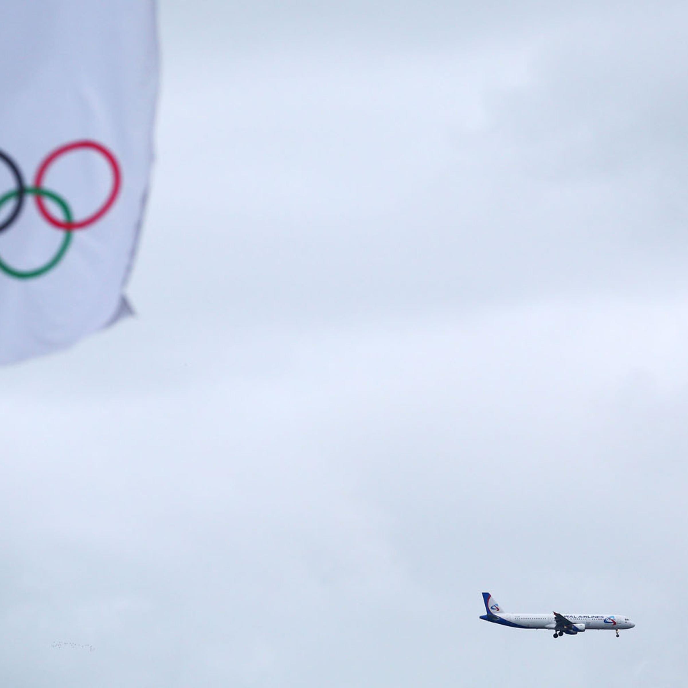 A passenger airliner arrives at Adler Airport ahead of the Sochi Winter Olympics on January 31, 2014.