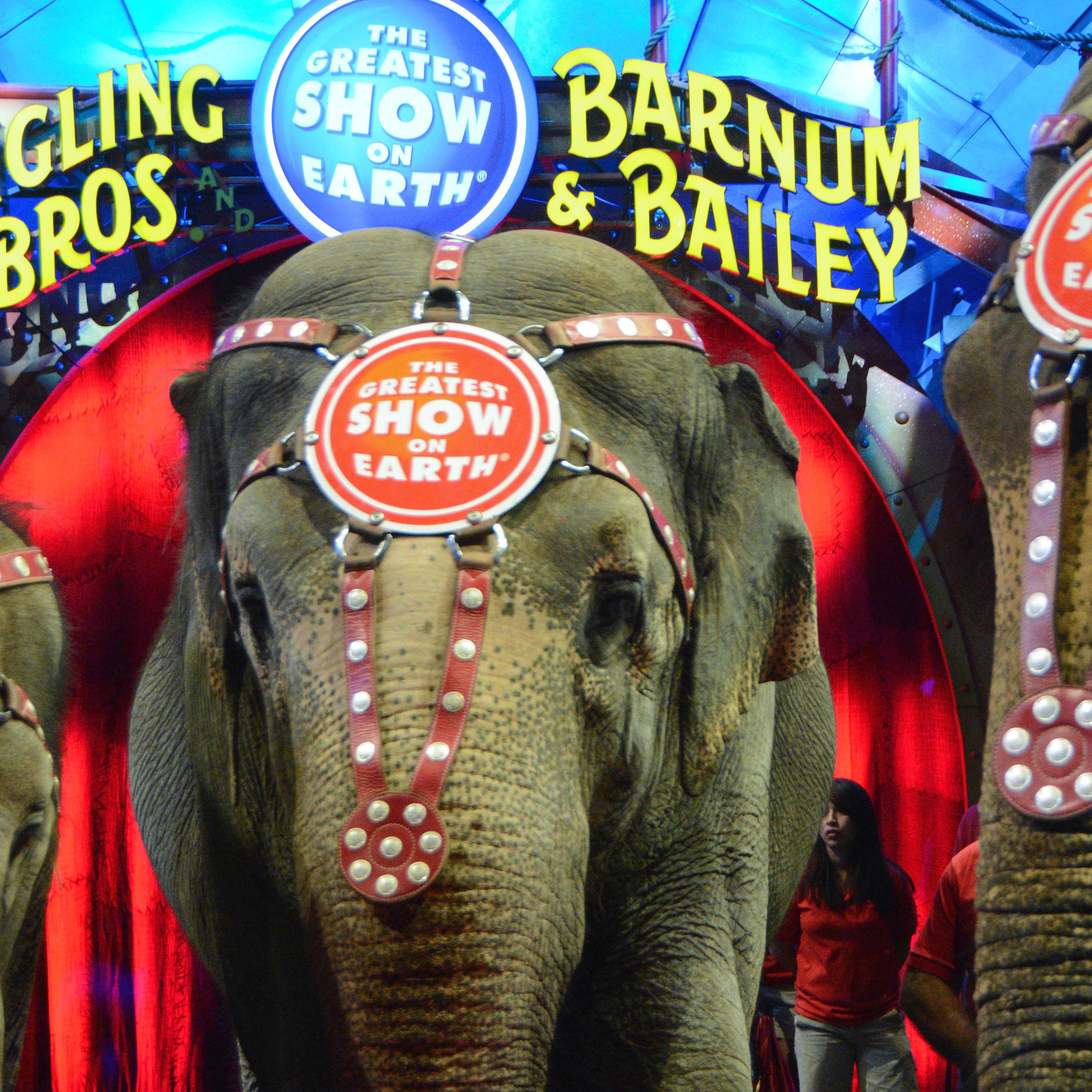 Ringling Bros. And Barnum & Bailey Presents "Circus XTREME" VIP Celebrity Red Carpet Premiere