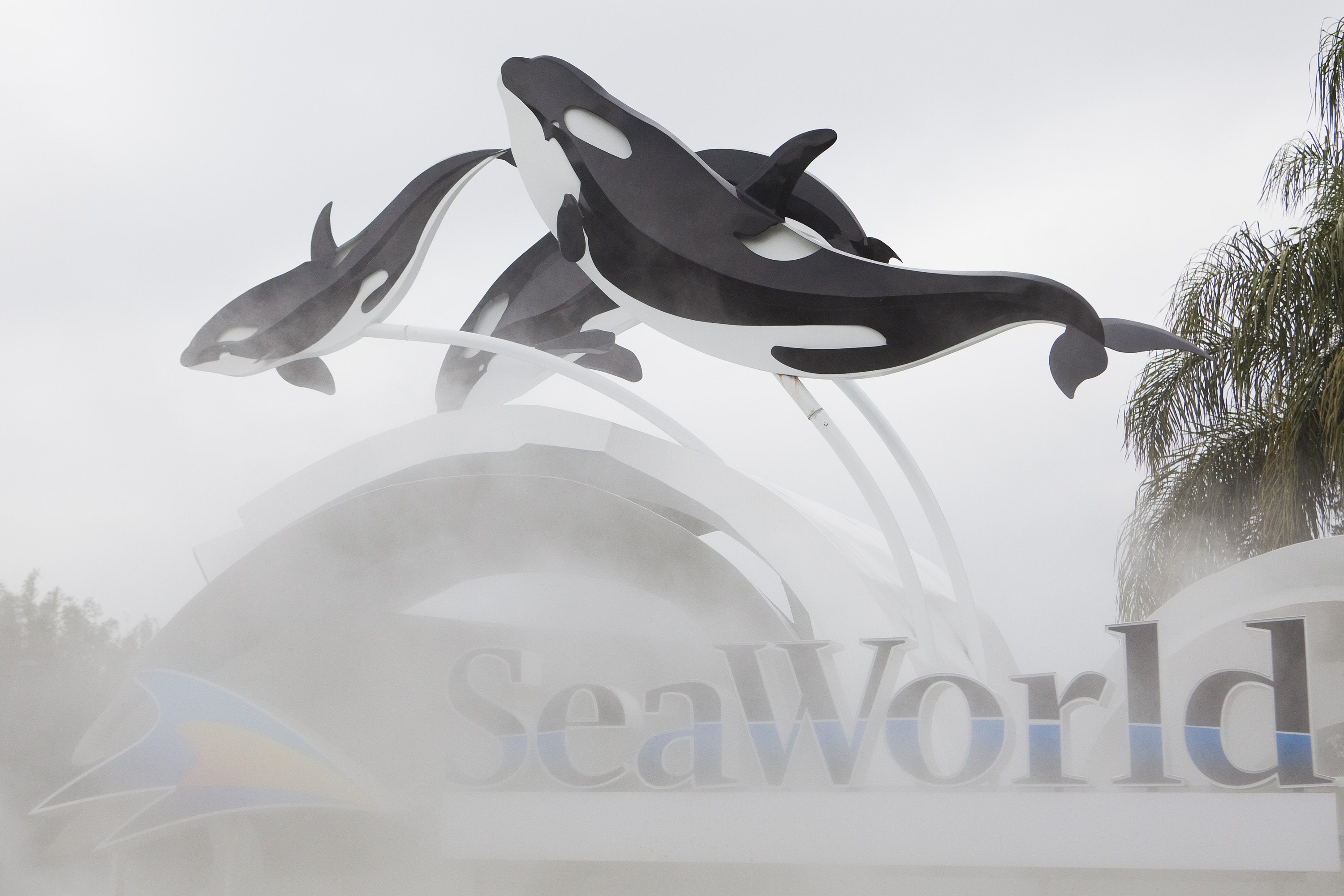 sea world peta spying