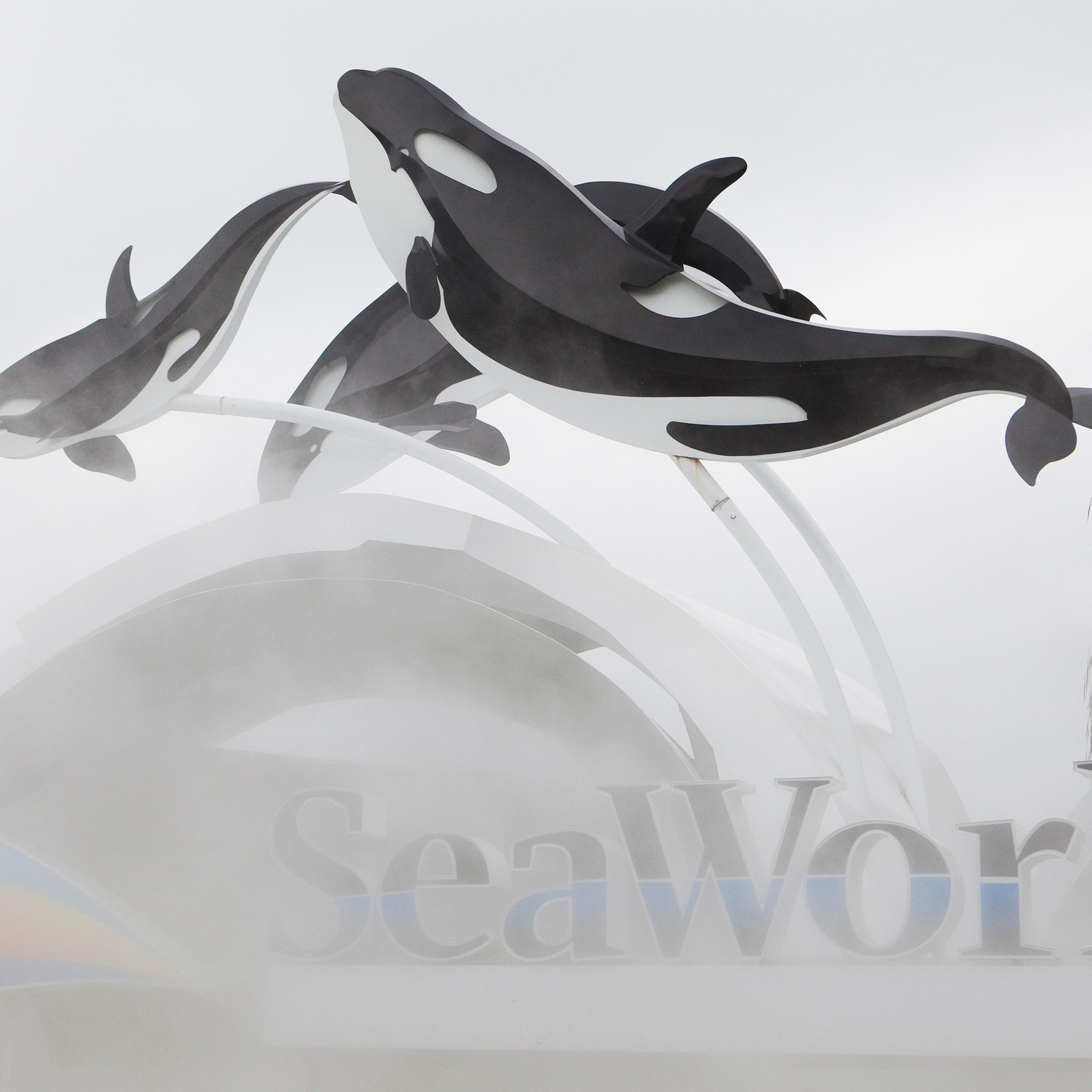 sea world peta spying