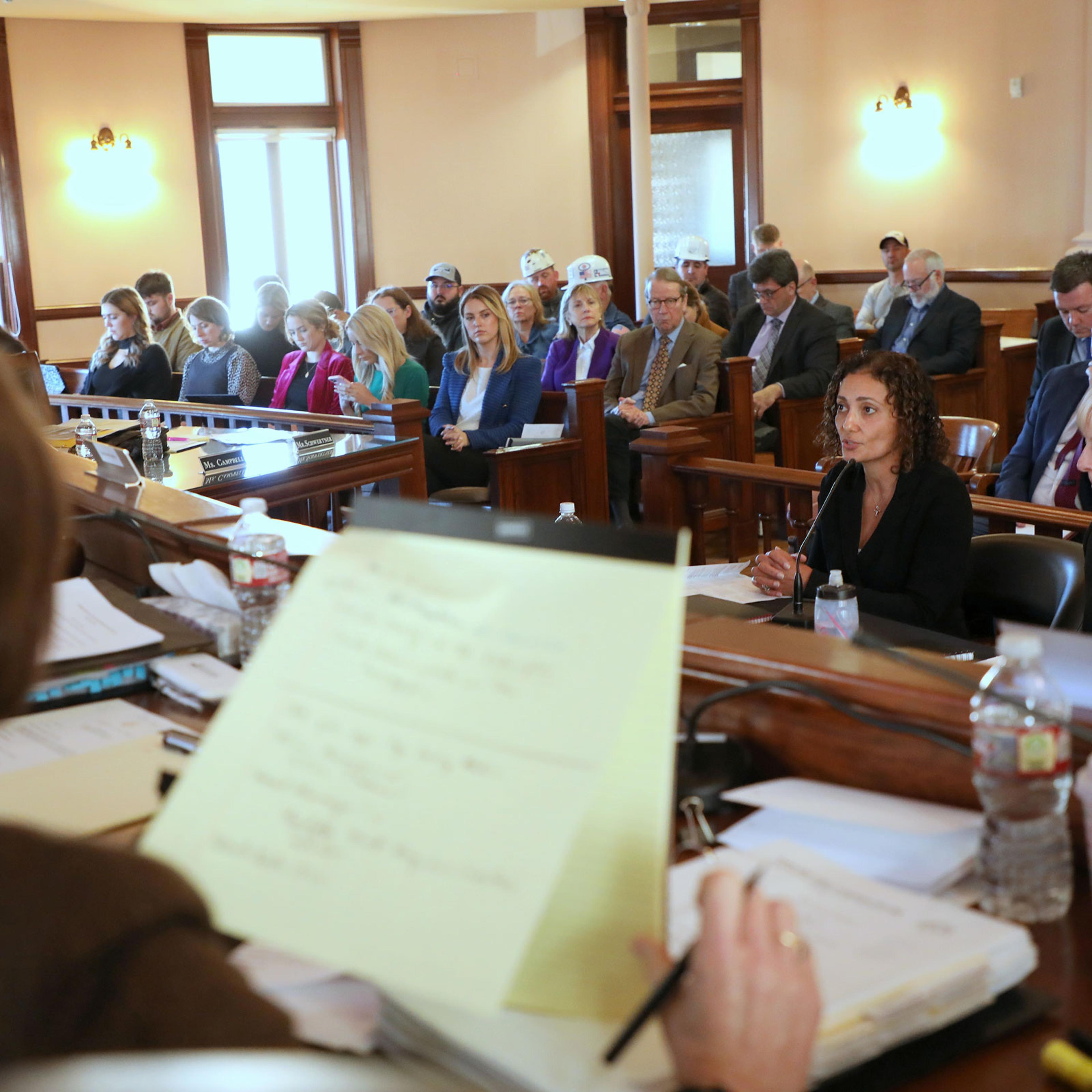 Dalia Blass, head of external affairs at BlackRock Inc., center, speaks during a Texas Senate Committee hearing