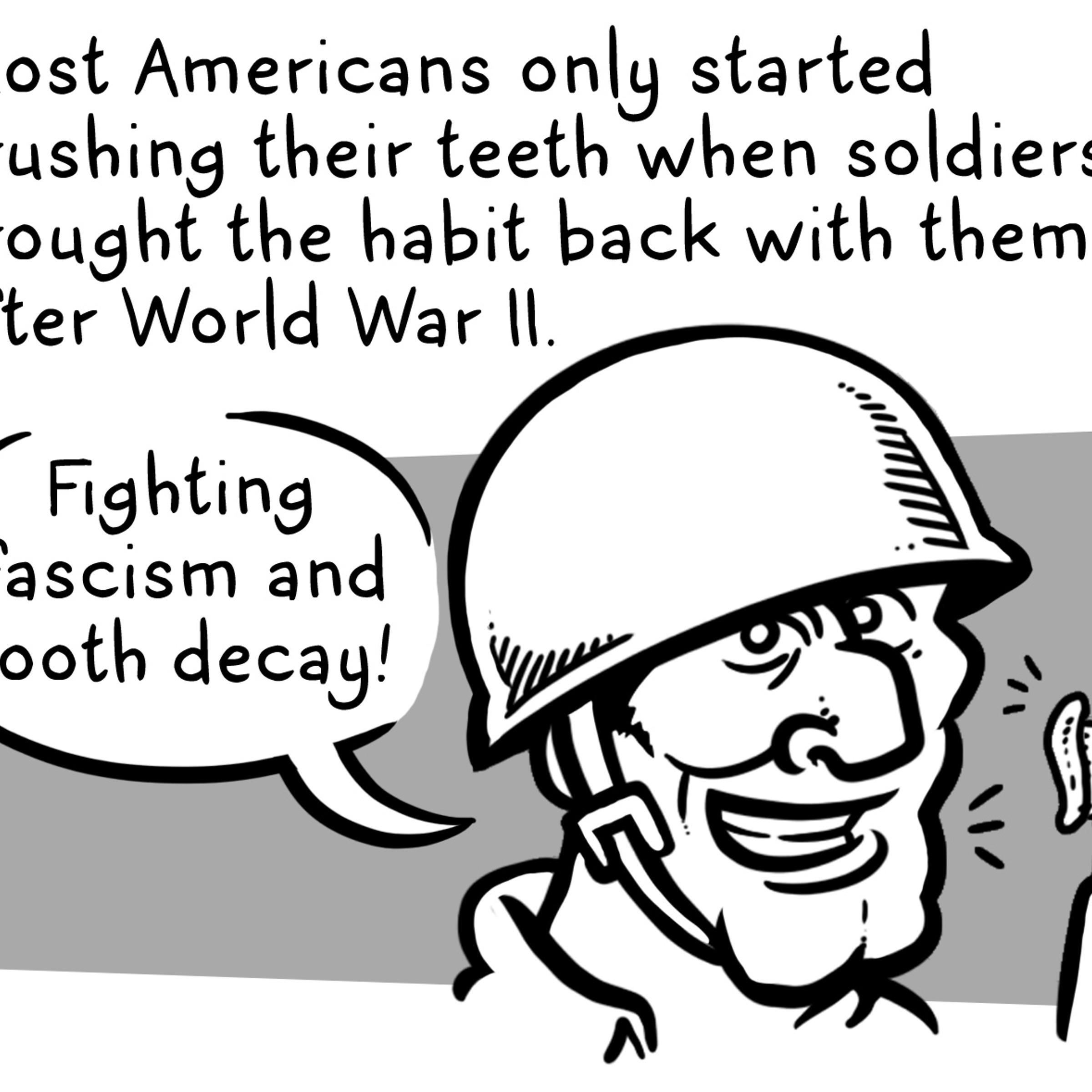 Briefer histories - Toothbrush