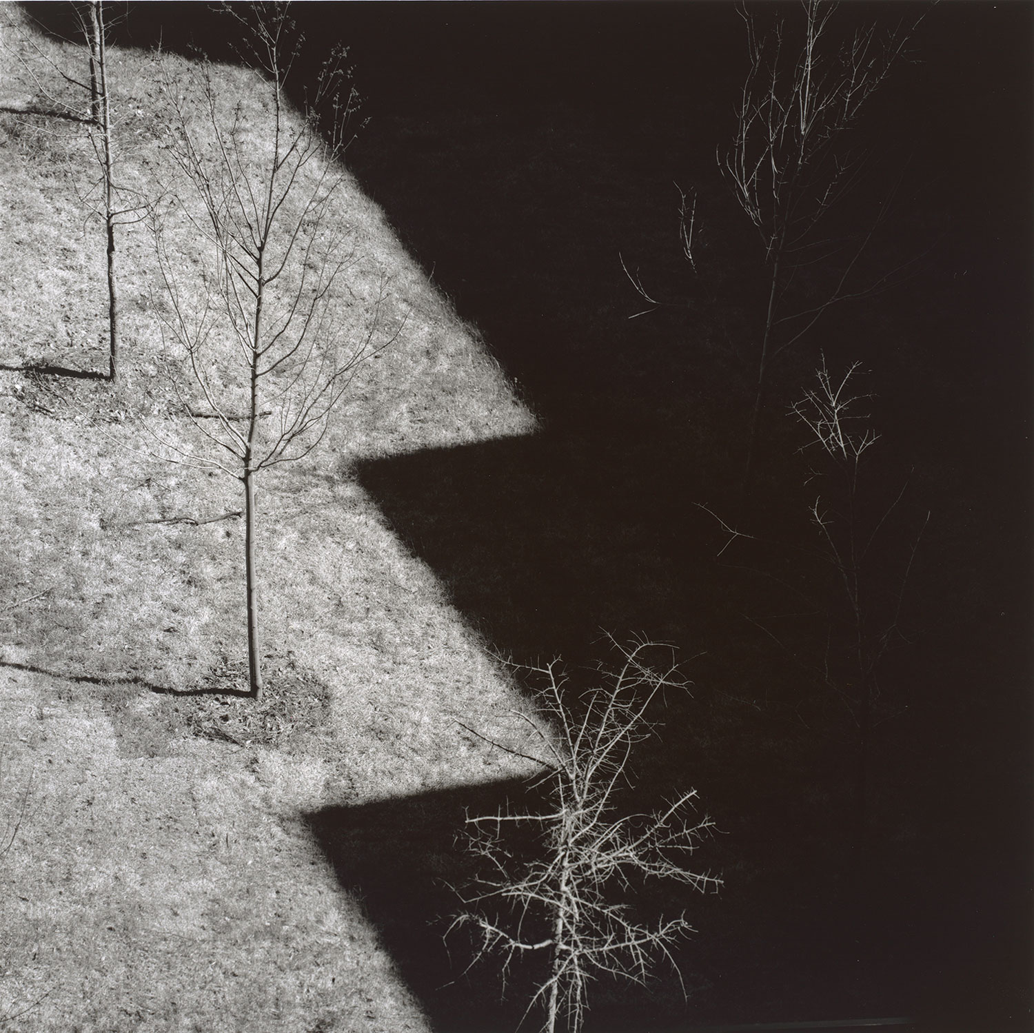 Harry Callahan at 100 Exhibition at the National Gallery of Art