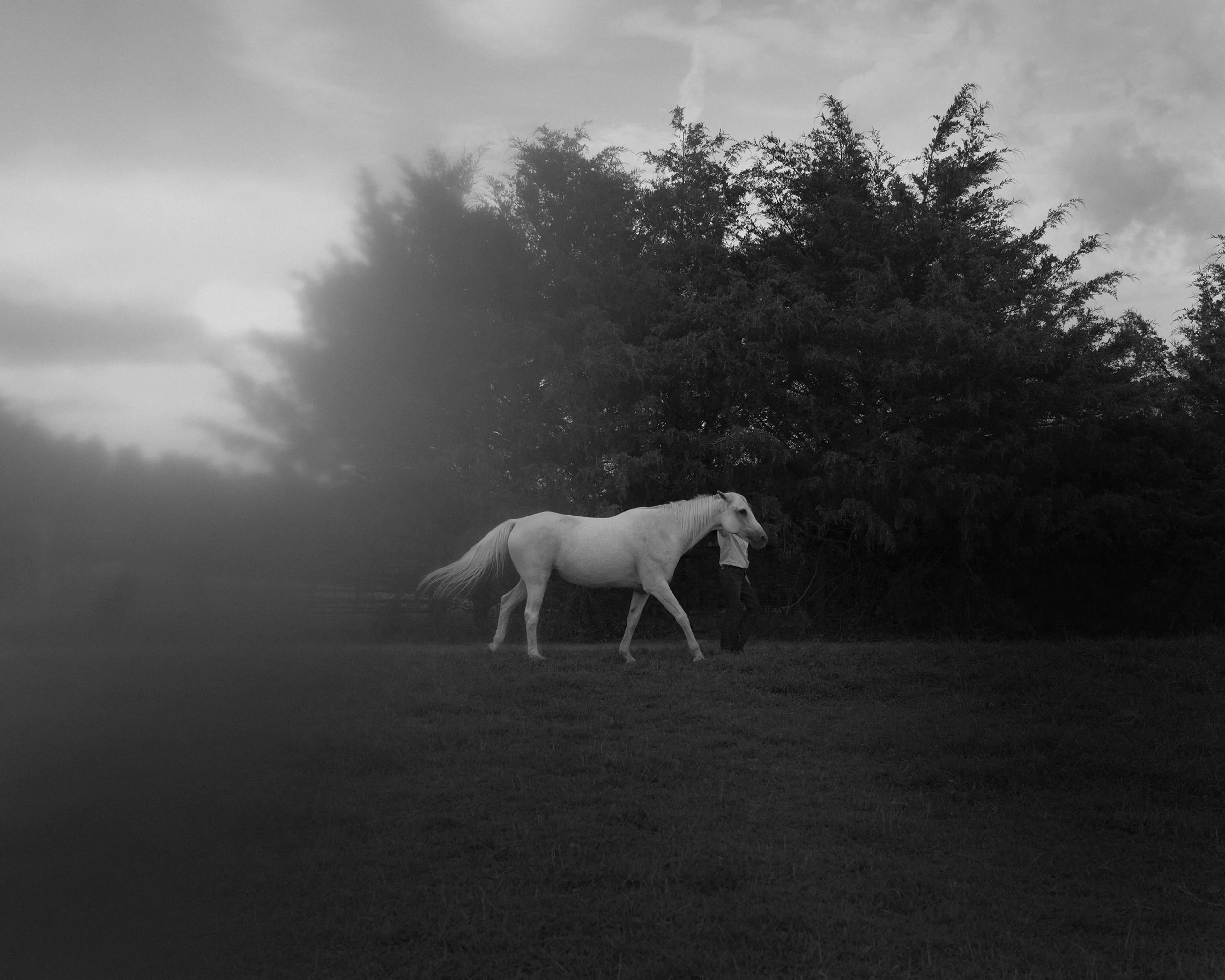 Sally Mann with her horse at home in Lexington, Va., Aug. 11, 2025. (Erinn Springer/The New York Times)
