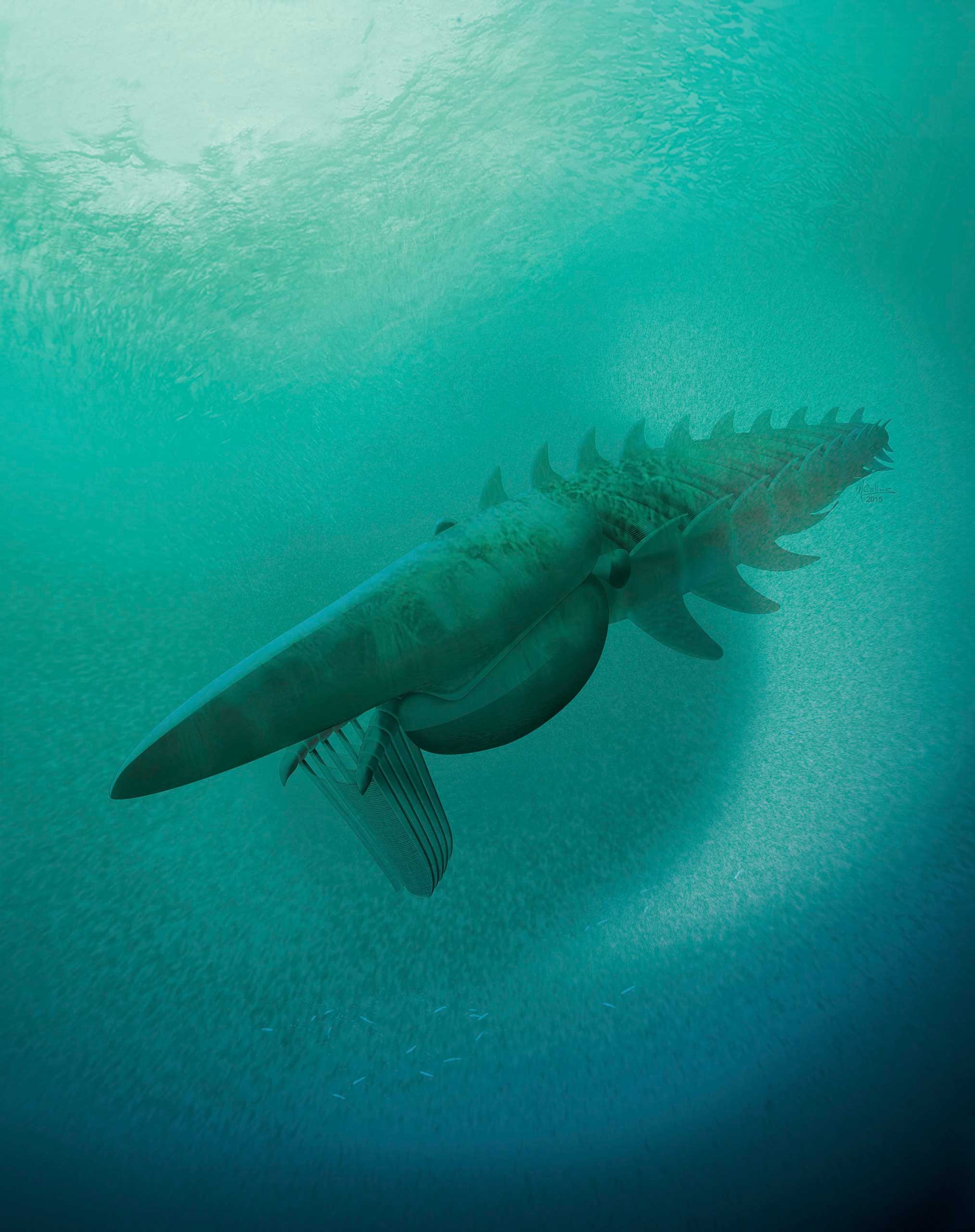 An artist's rendering of a filter-feeding Aegirocassis benmoulae from the Ordovician Period feeding on a plankton cloud.